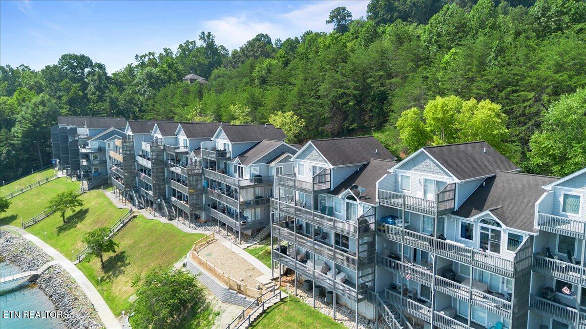 Norris Lake Real Estate - Image# 5
