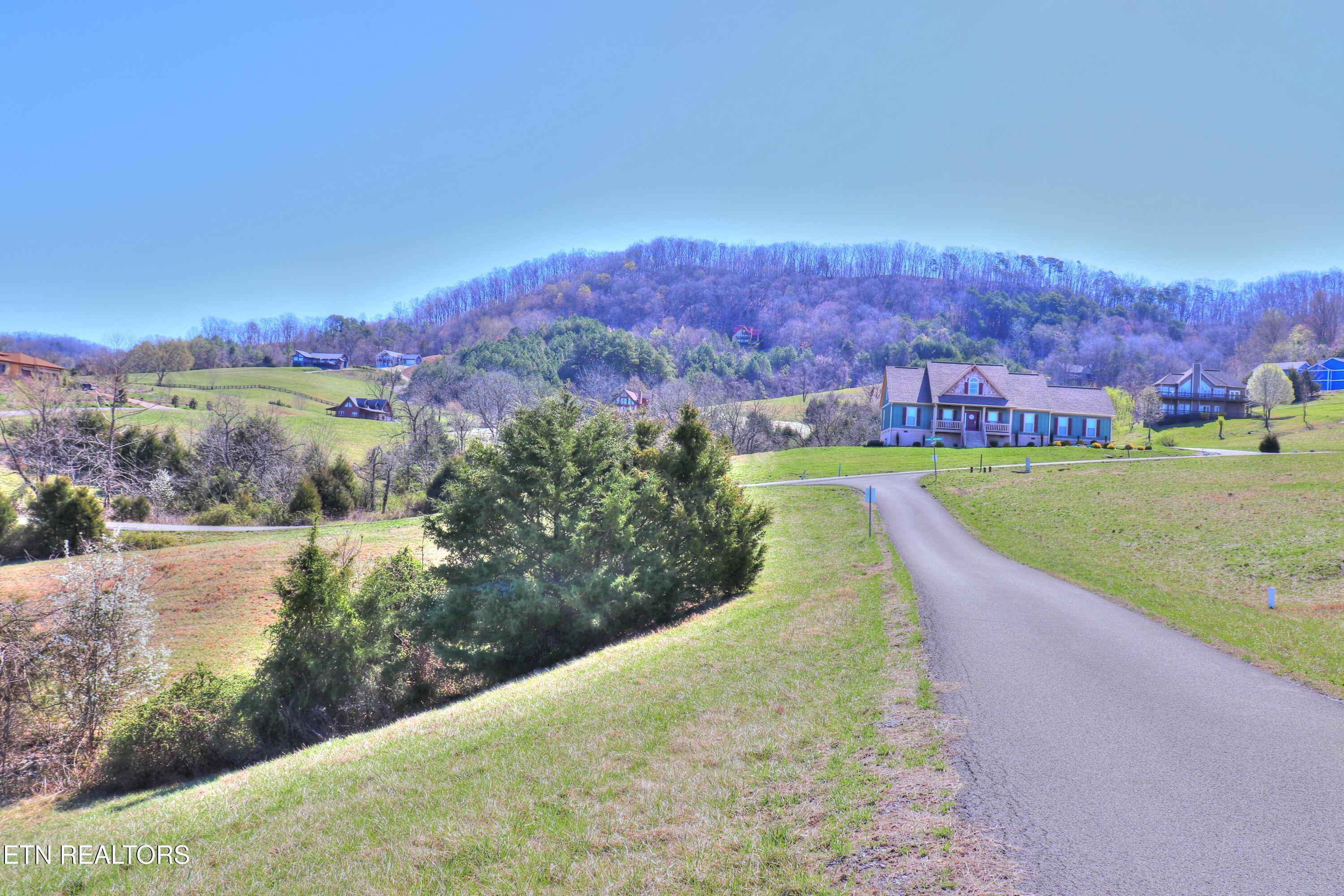 Norris Lake Real Estate - Image# 5