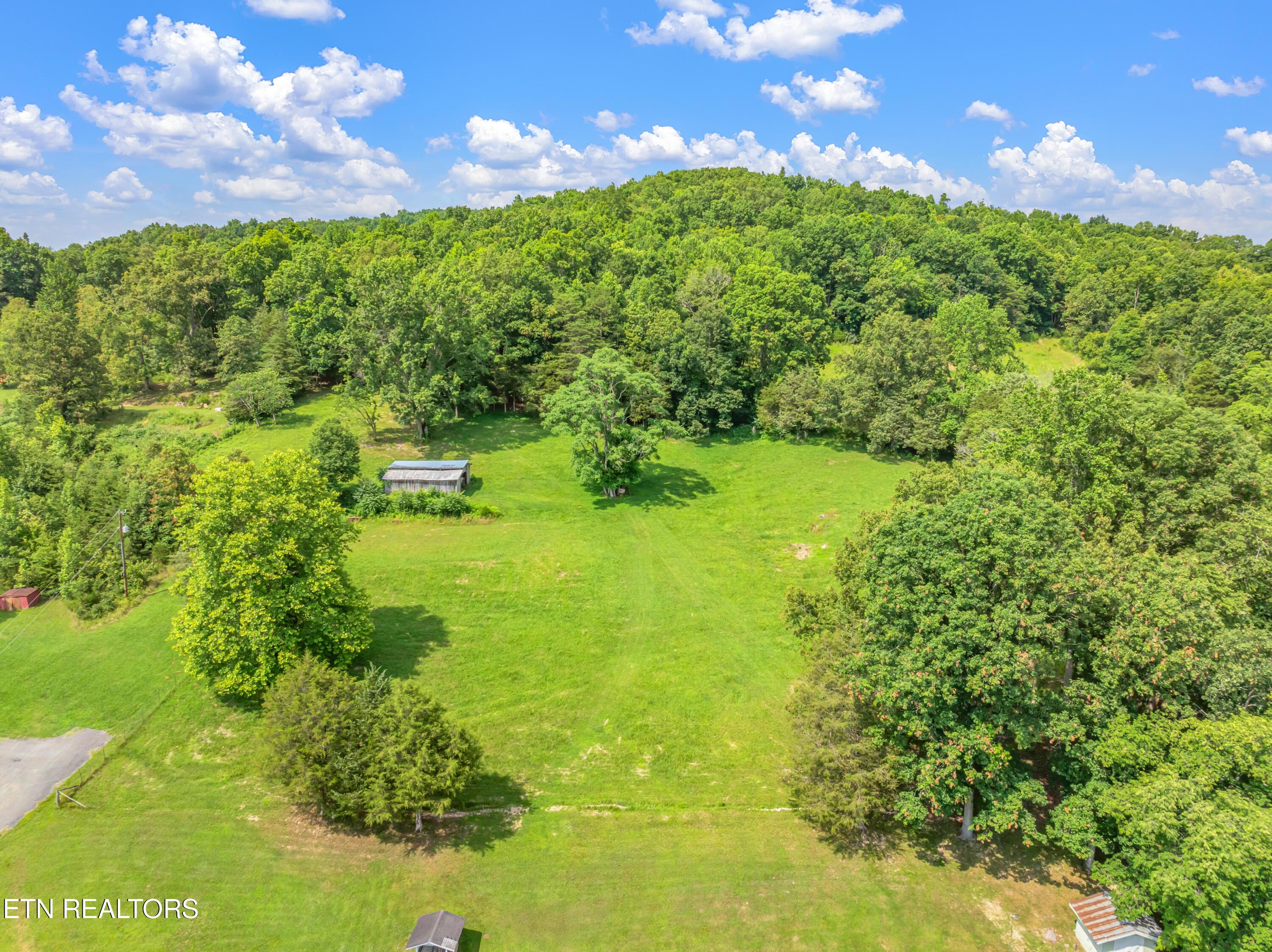 Norris Lake Real Estate - Image# 45