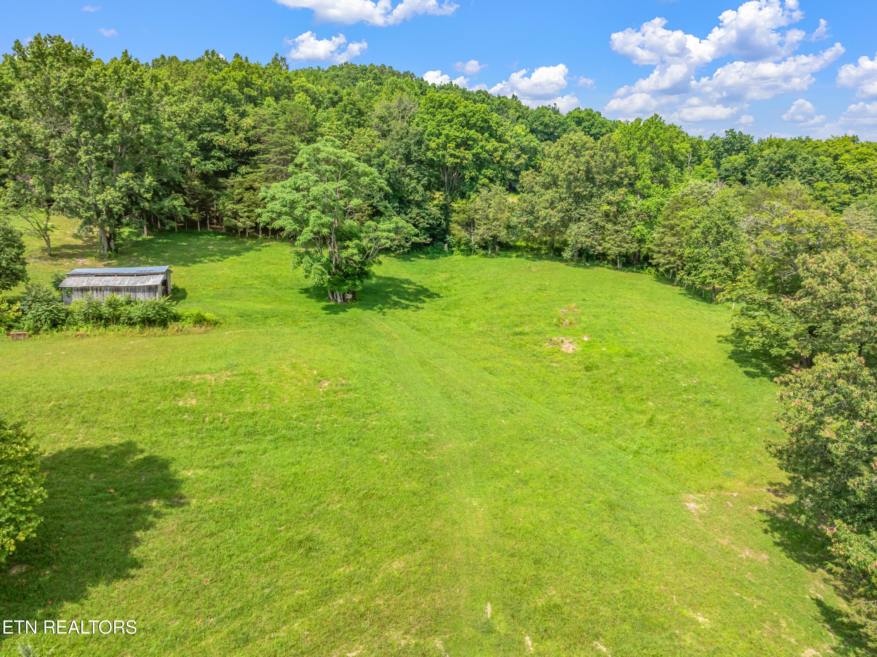 Norris Lake Real Estate - Image# 49