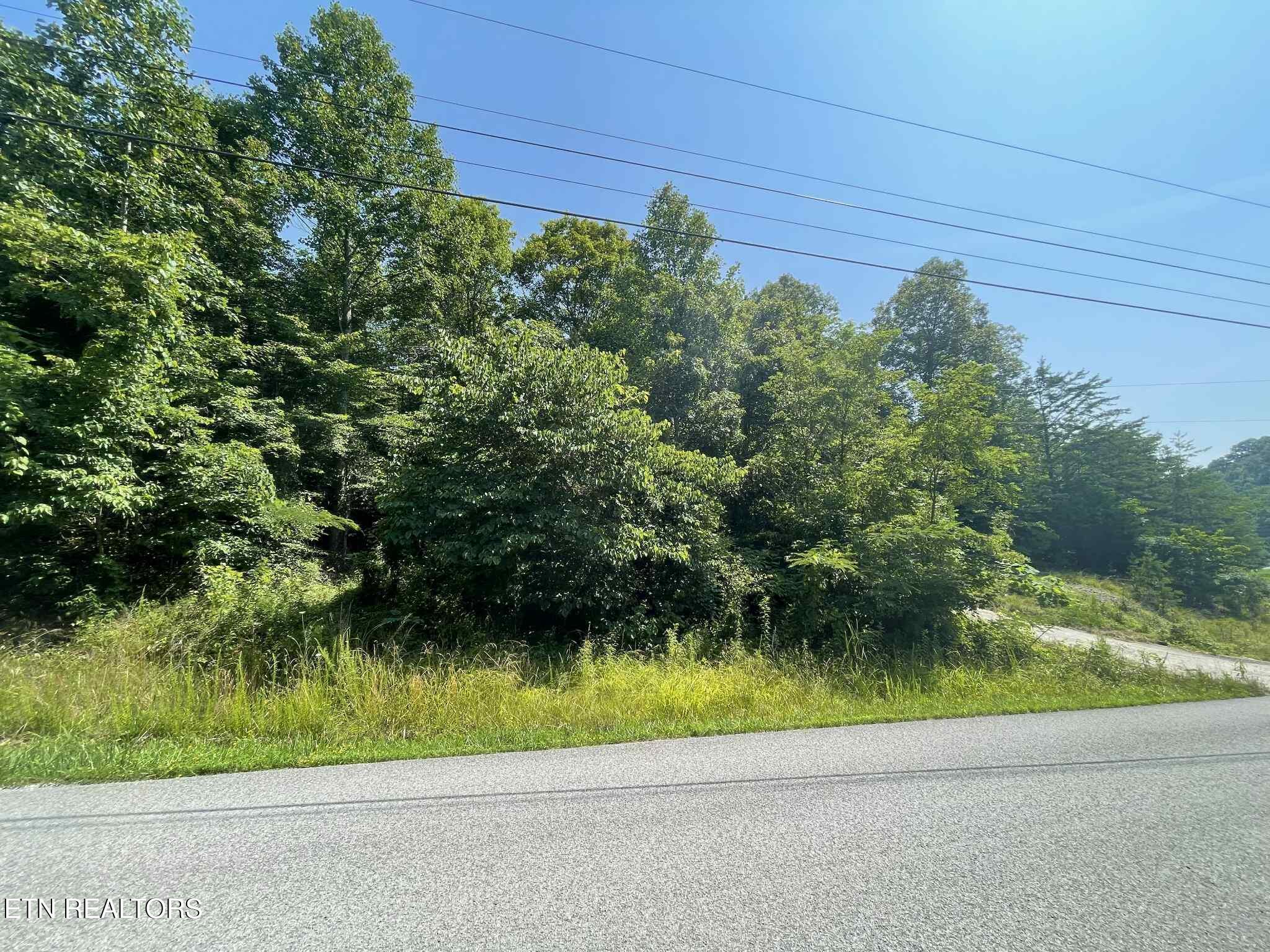 LOT 532 Whistle Valley Rd, New Tazewell, TN - Norris Lake Real Estate - Image# 4