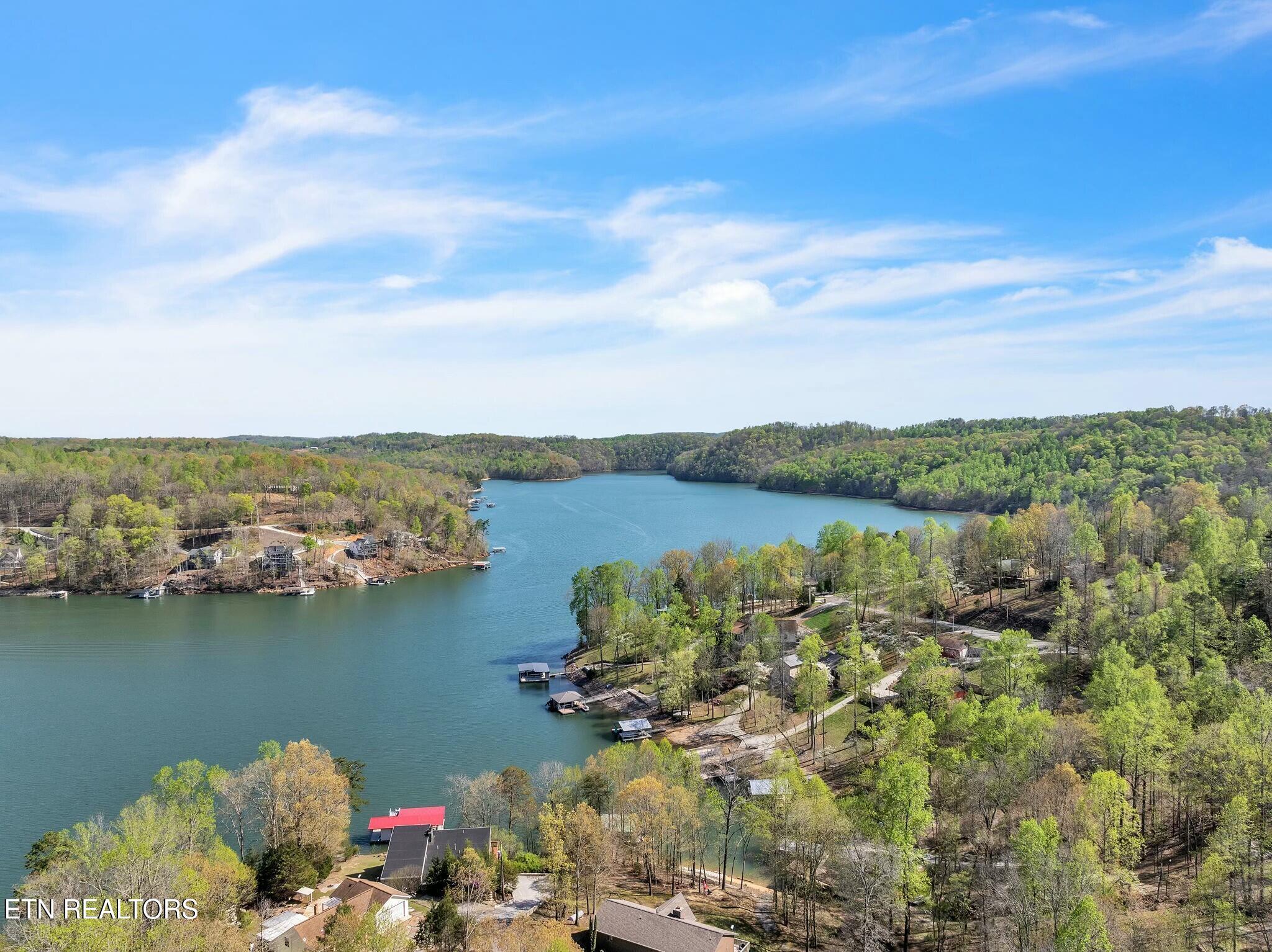 Norris Lake Real Estate - Image# 47