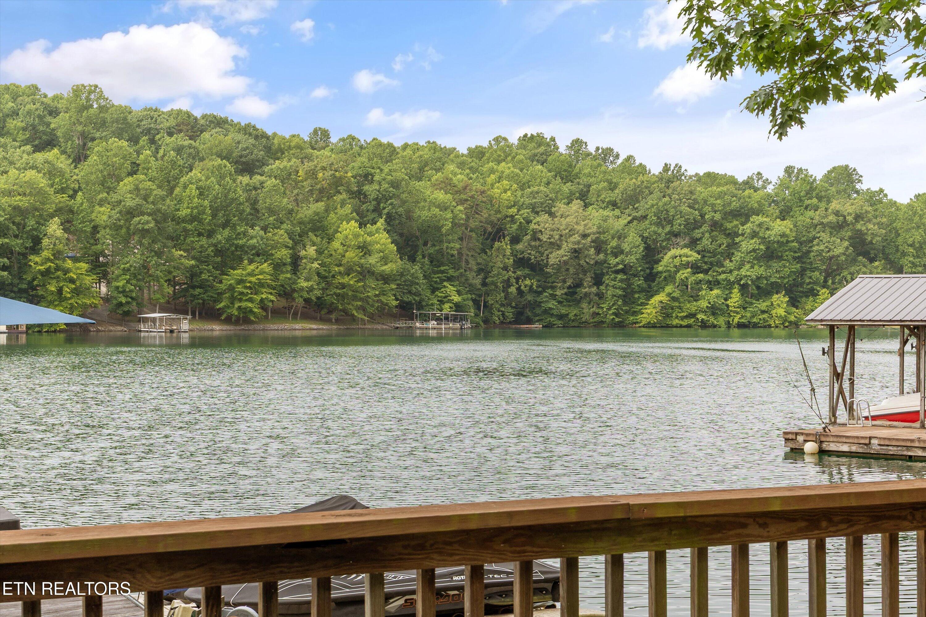 Norris Lake Real Estate - Image# 49