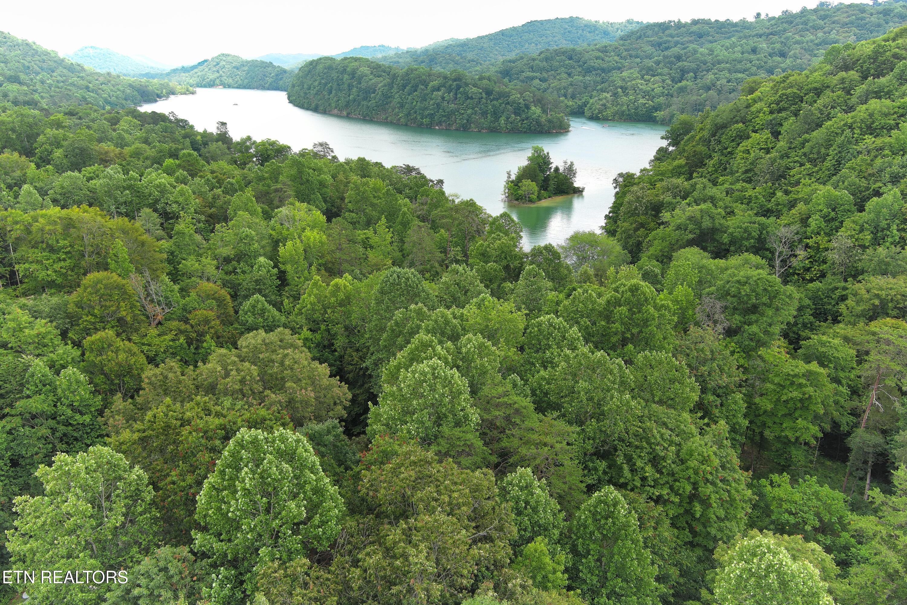 Norris Lake Real Estate - Image# 3