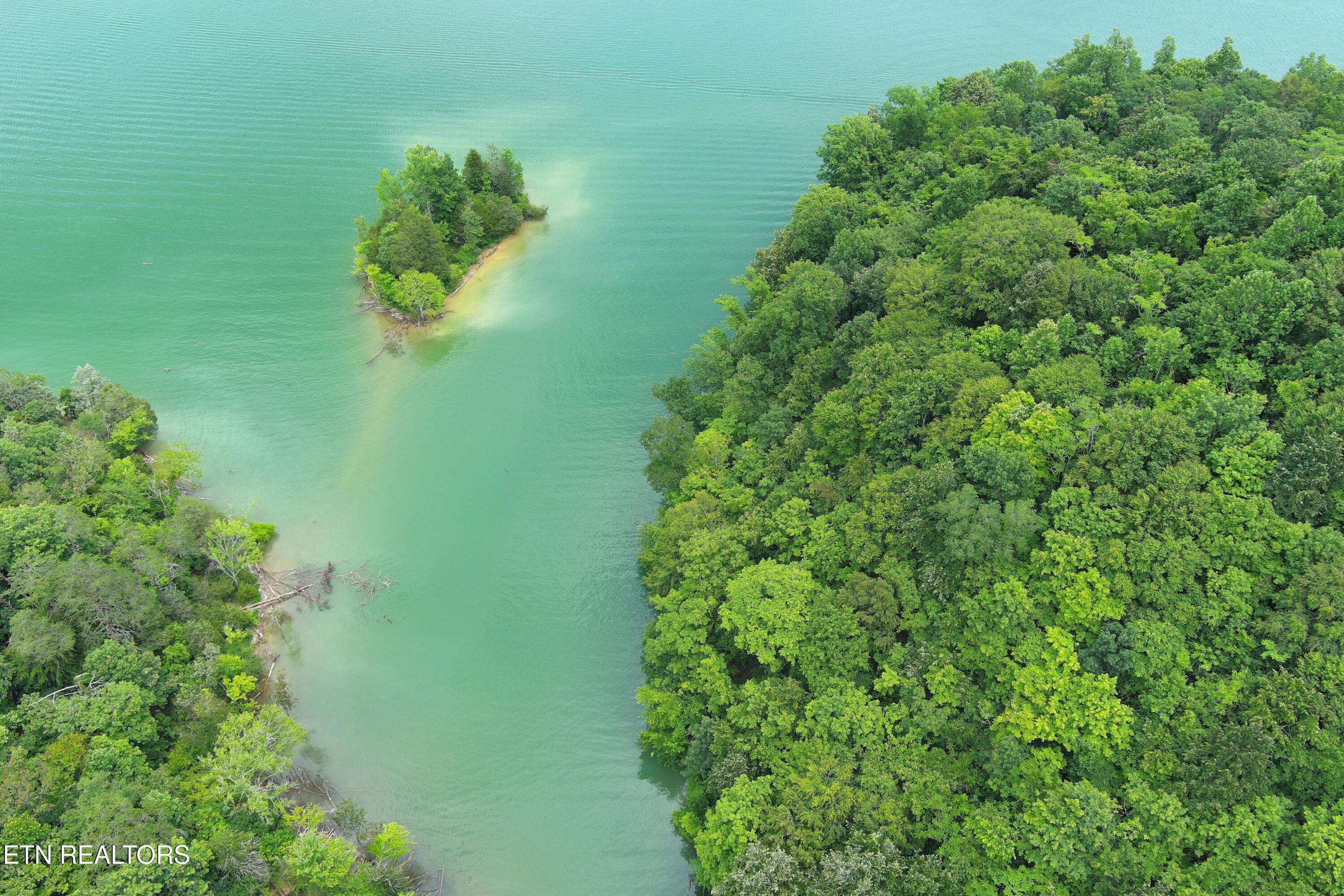 Norris Lake Real Estate - Image# 12