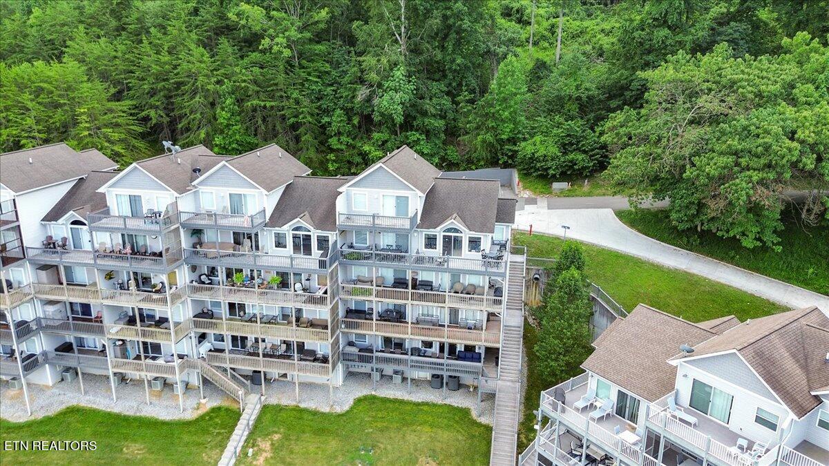 Norris Lake Real Estate - Image# 4