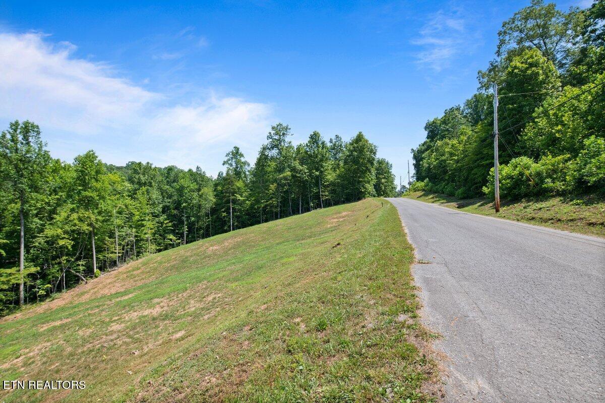 Norris Lake Real Estate - Image# 5