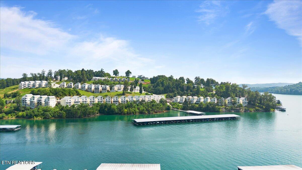 Norris Lake Real Estate - Image# 43