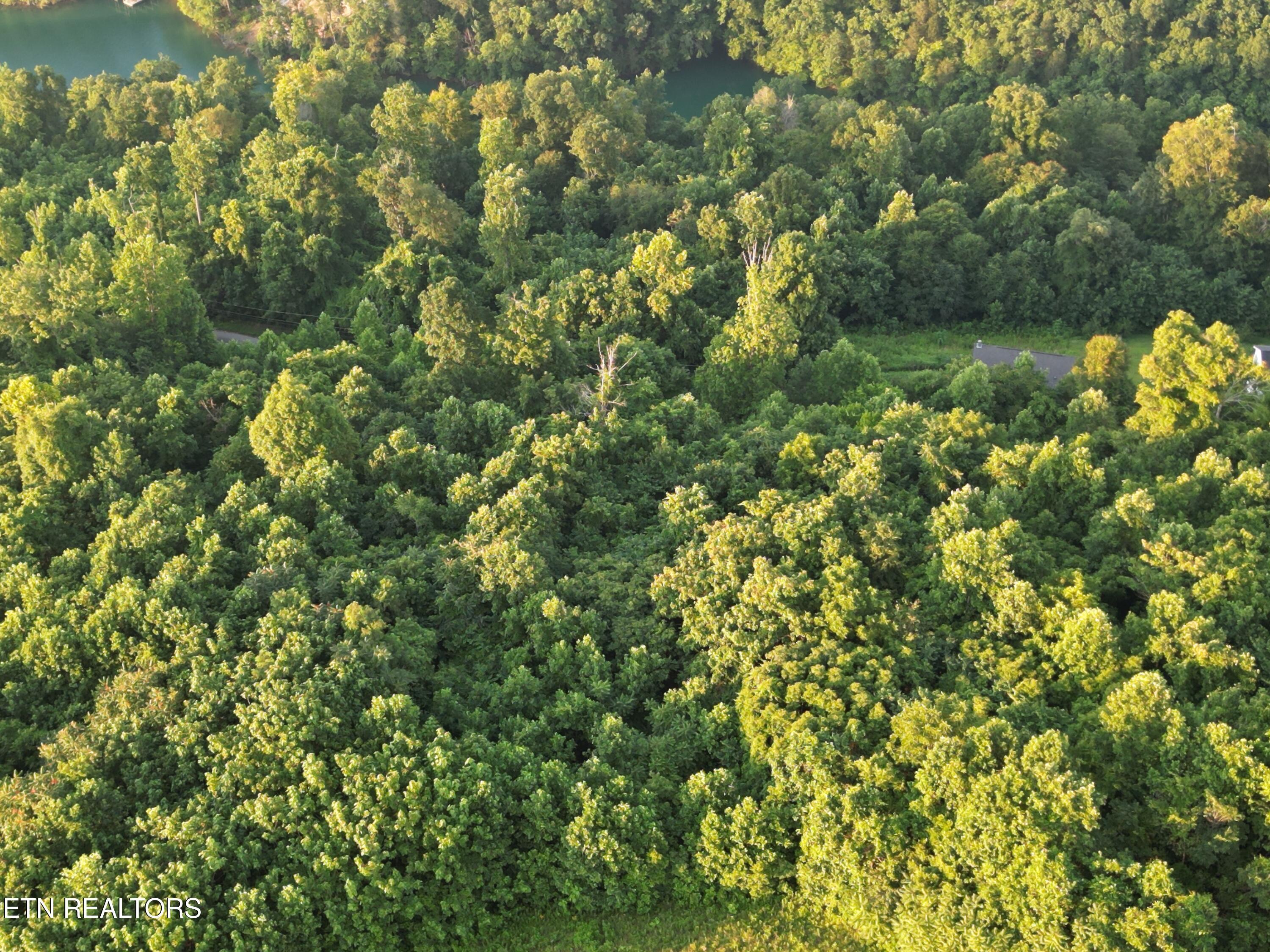 Norris Lake Real Estate - Image# 4