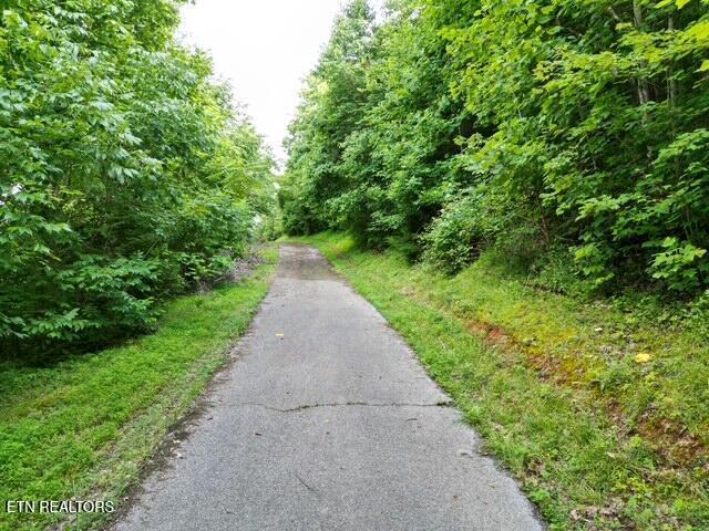 Norris Lake Real Estate - Image# 12
