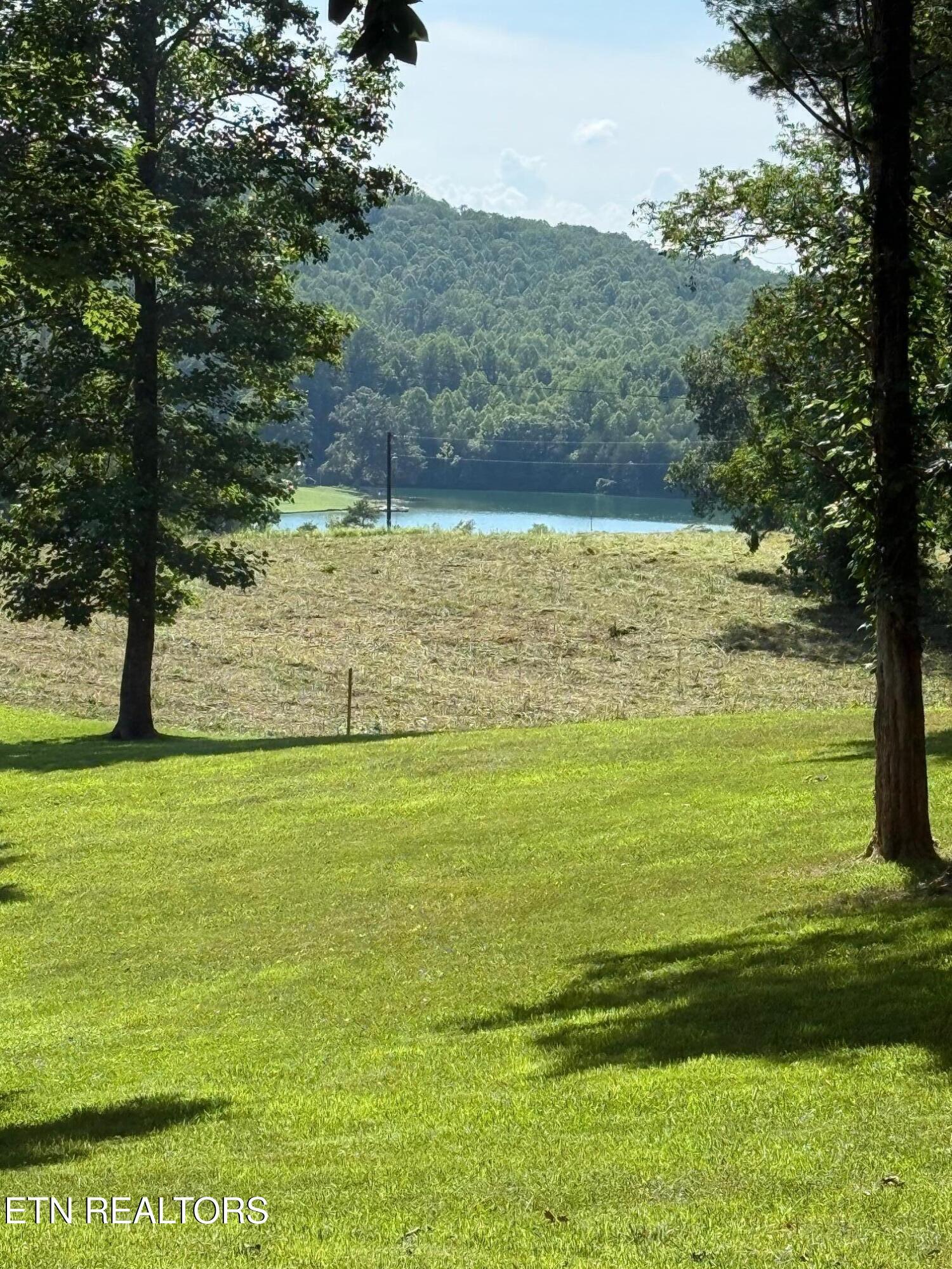 Norris Lake Real Estate - Image# 9