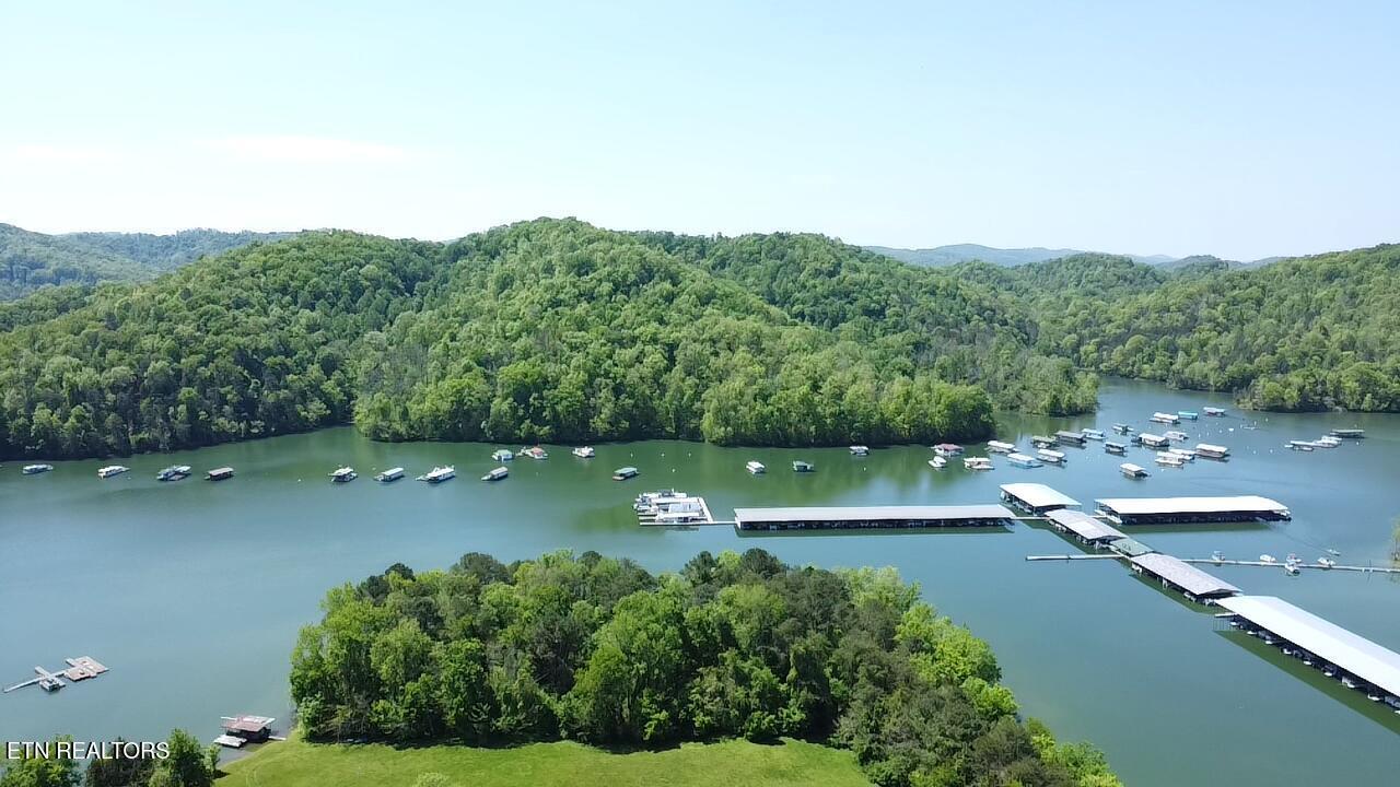 Norris Lake Real Estate - Image# 5