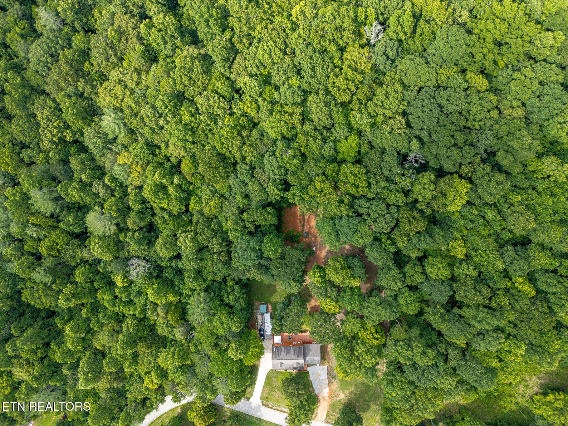 103 Pinnacle Pointe Way, Sharps Chapel, TN - Norris Lake Real Estate - Image# 42