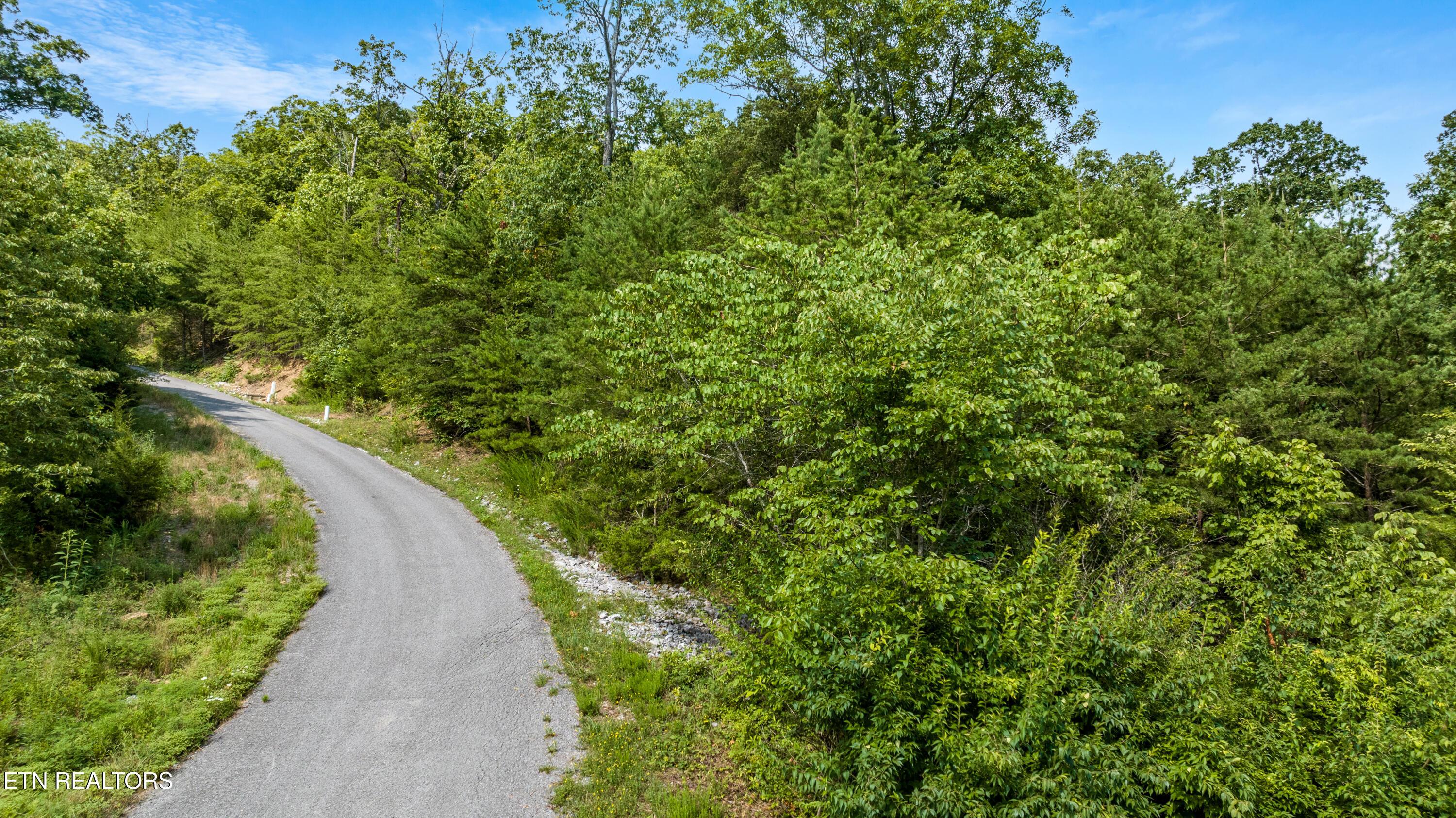 Russell Brothers Rd, Sharps Chapel, TN - Norris Lake Real Estate - Image# 11