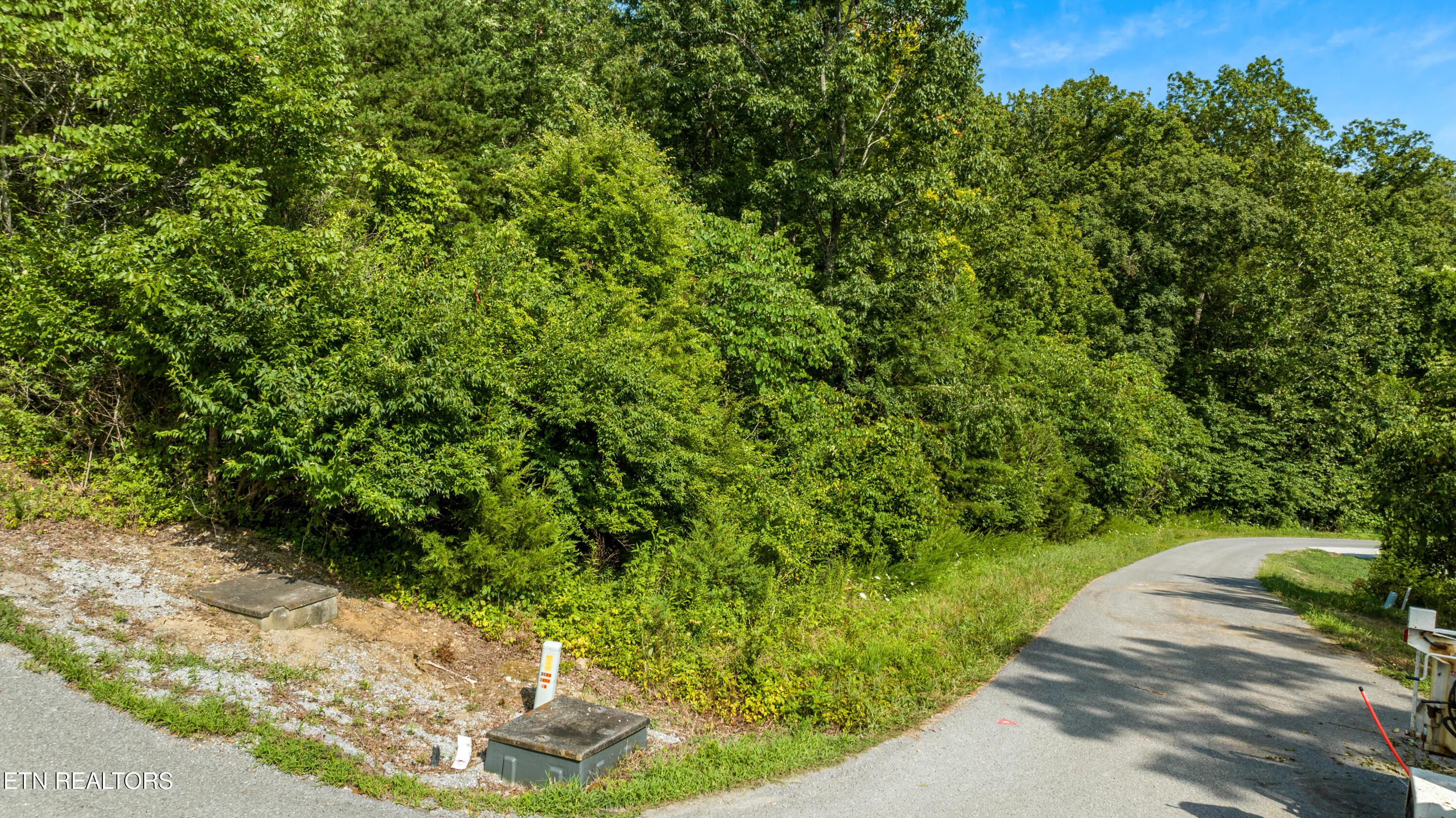 Russell Brothers Rd, Sharps Chapel, TN - Norris Lake Real Estate - Image# 12
