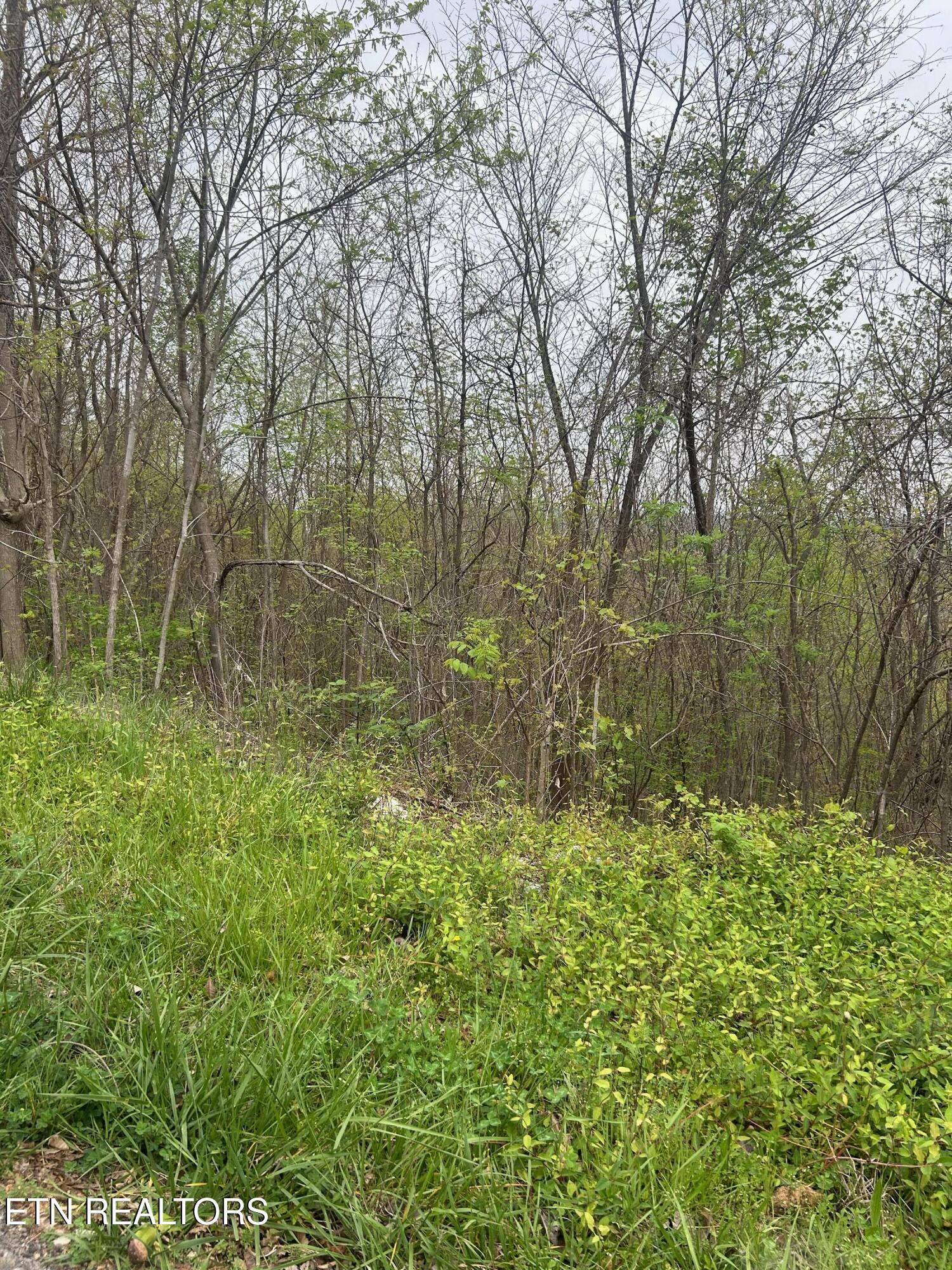 Lot 8 Hickory Pointe Lane, Maynardville, TN - Norris Lake Real Estate - Image# 1