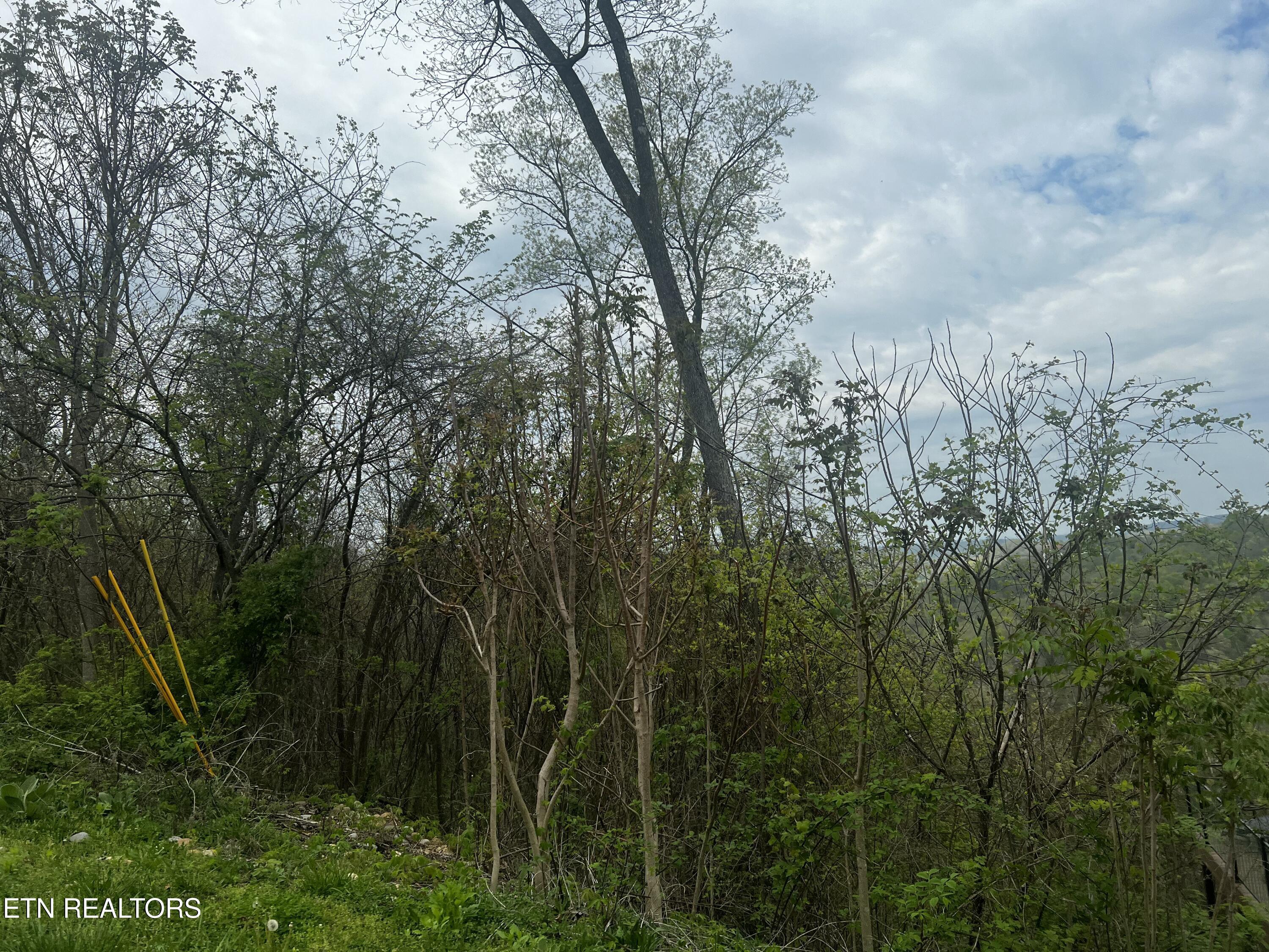 Lot 8 Hickory Pointe Lane, Maynardville, TN - Norris Lake Real Estate - Image# 2
