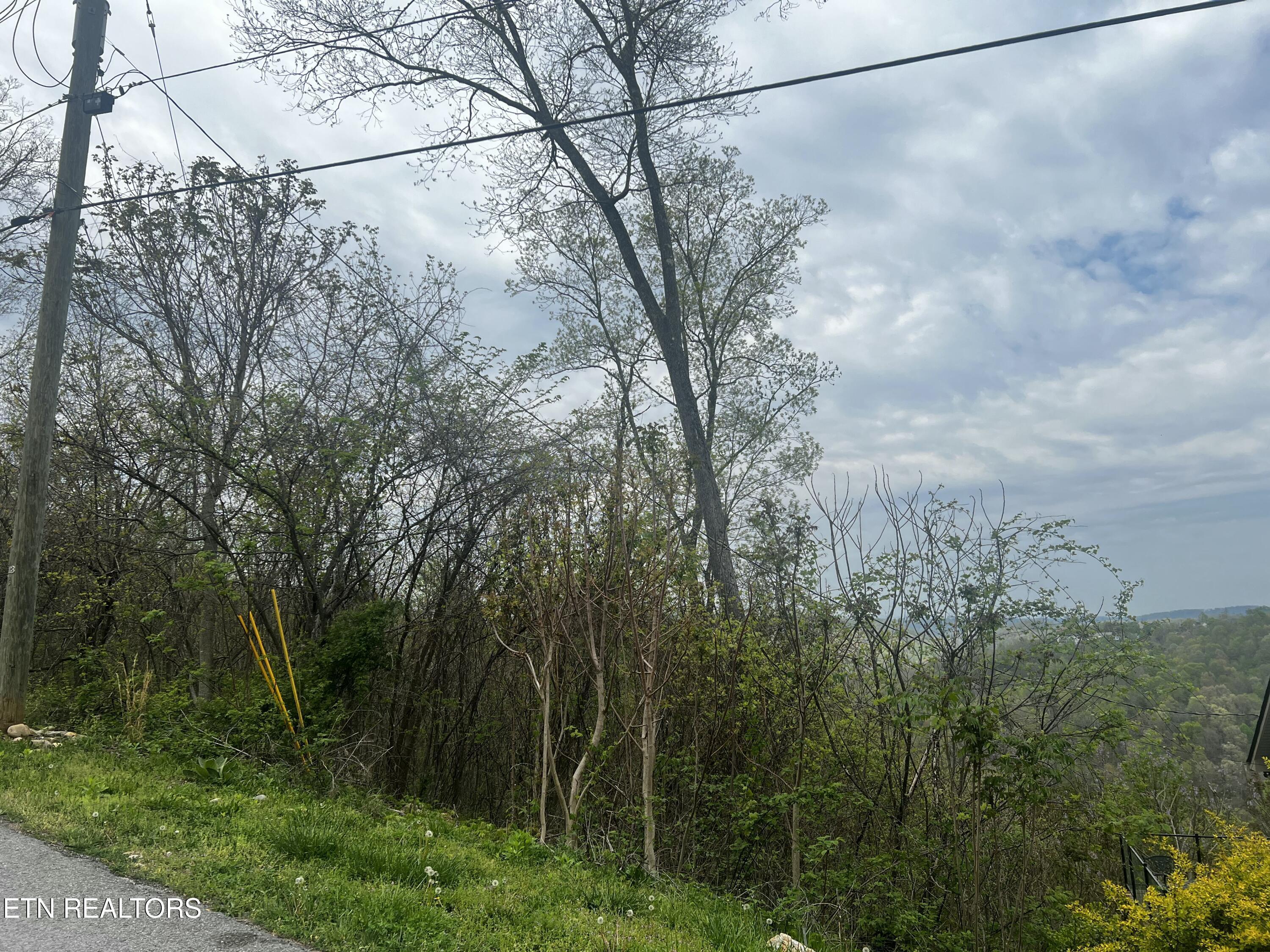 Lot 8 Hickory Pointe Lane, Maynardville, TN - Norris Lake Real Estate - Image# 3