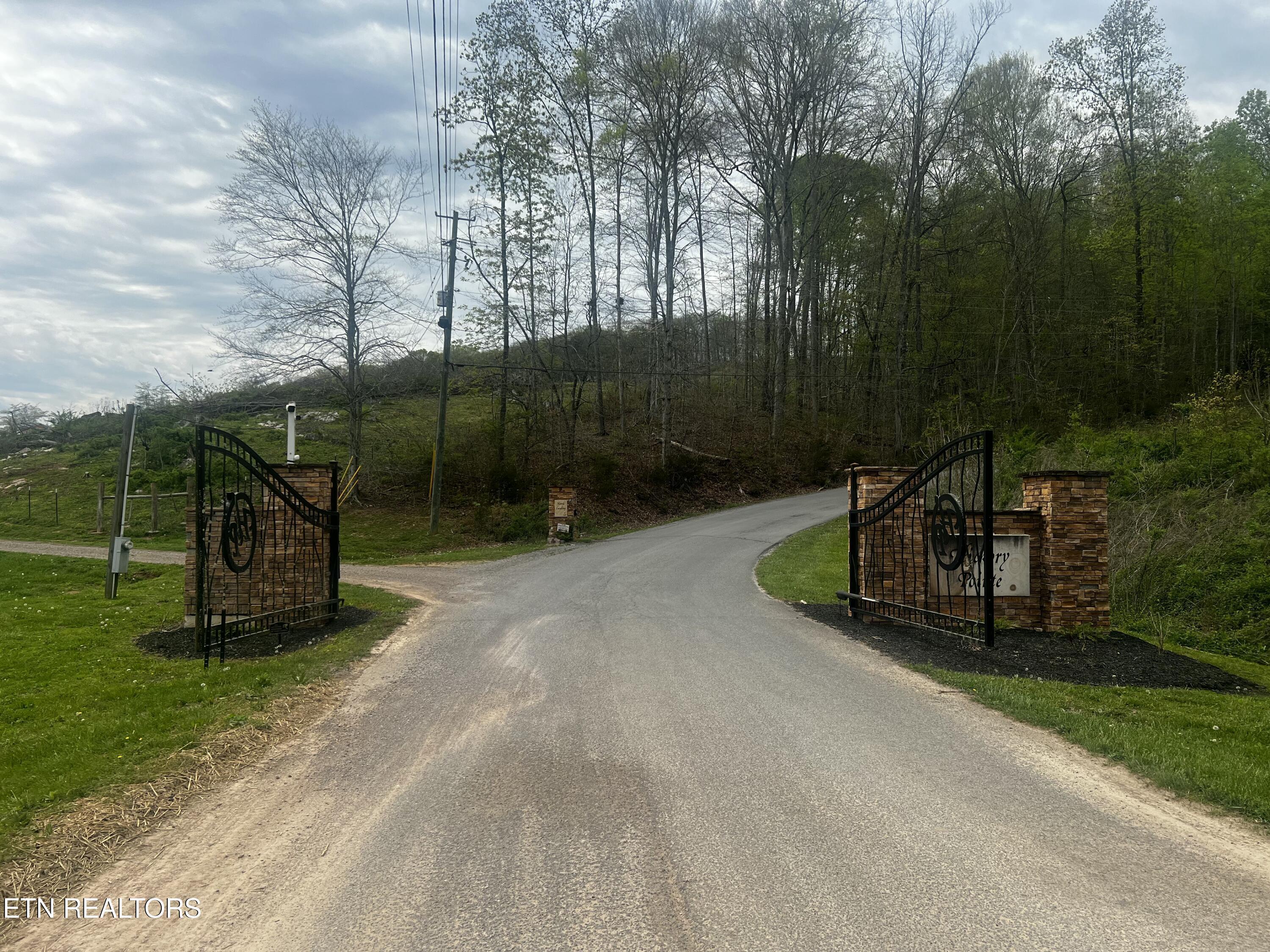 Lot 8 Hickory Pointe Lane, Maynardville, TN - Norris Lake Real Estate - Image# 5