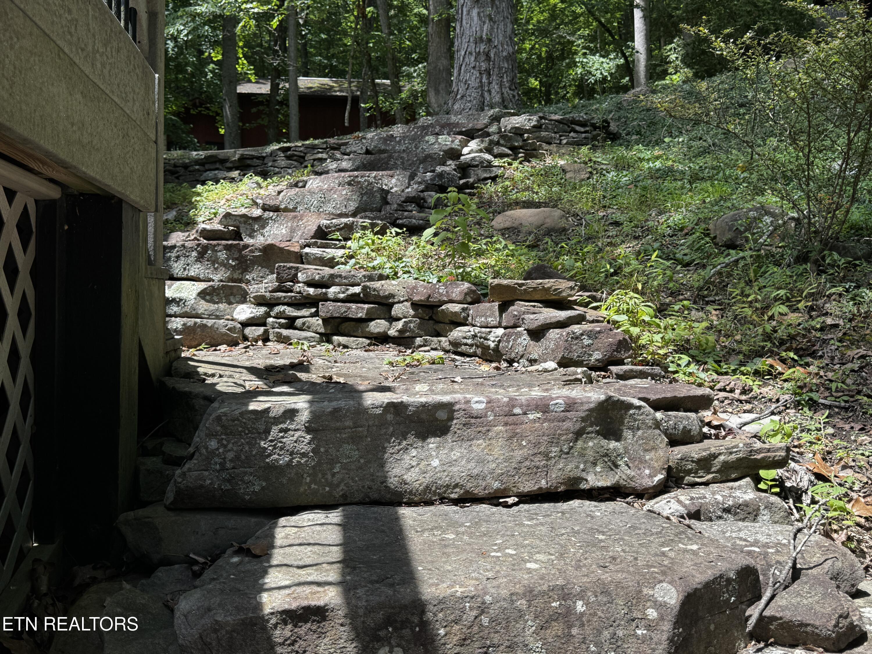 848 Cove Norris Rd, Caryville, TN - Norris Lake Real Estate - Image# 34