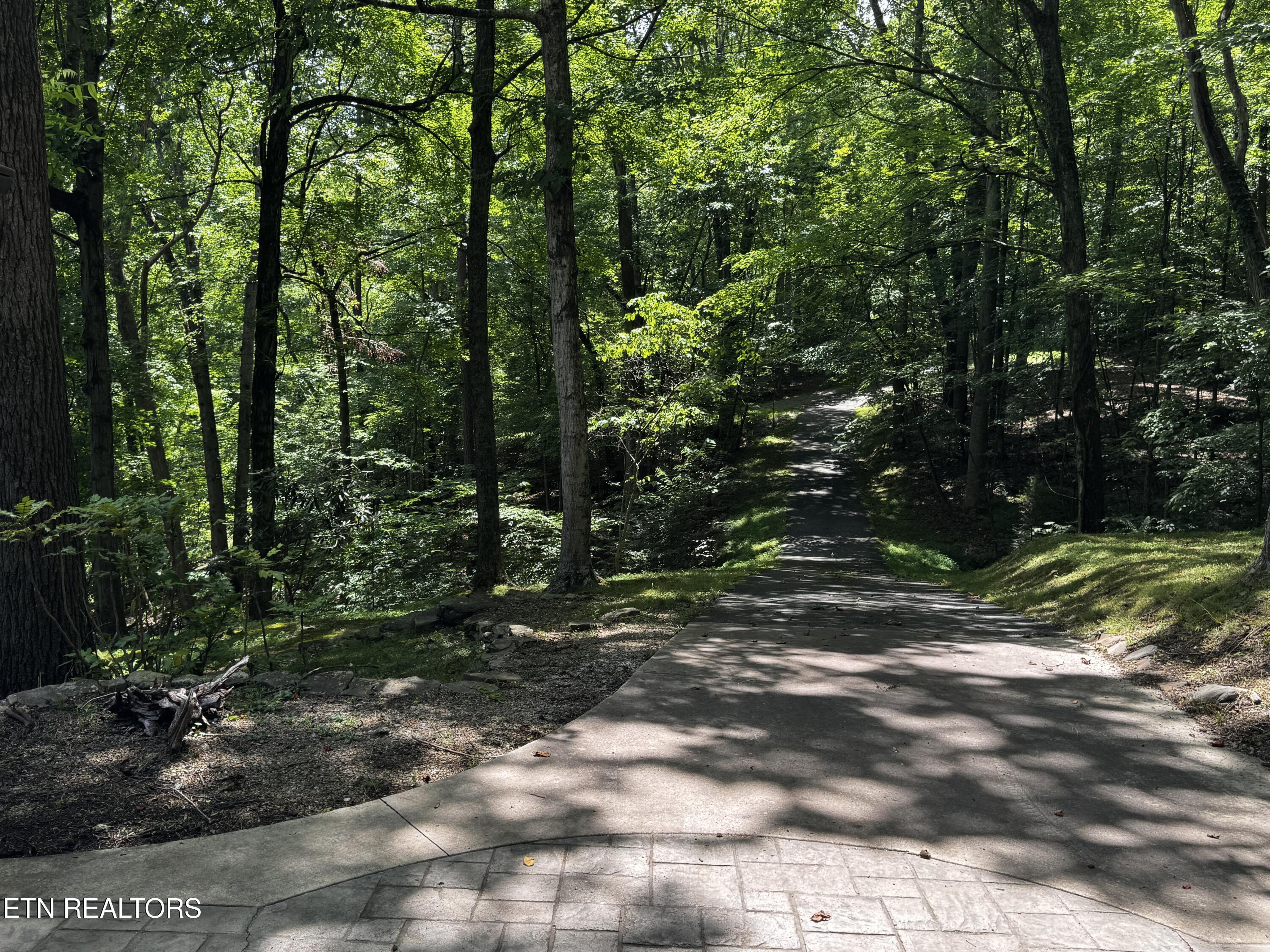 848 Cove Norris Rd, Caryville, TN - Norris Lake Real Estate - Image# 37