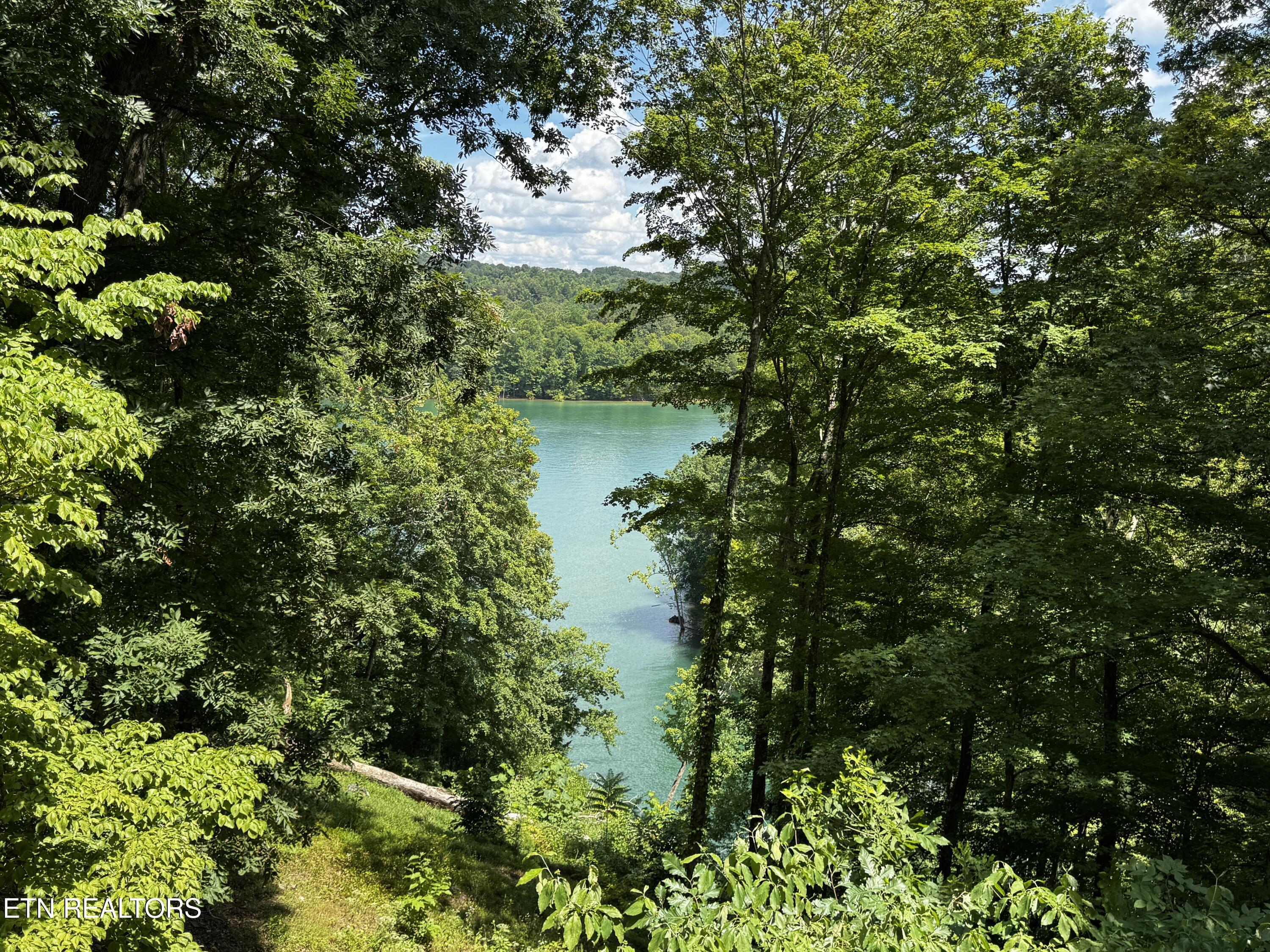 848 Cove Norris Rd, Caryville, TN - Norris Lake Real Estate - Image# 41