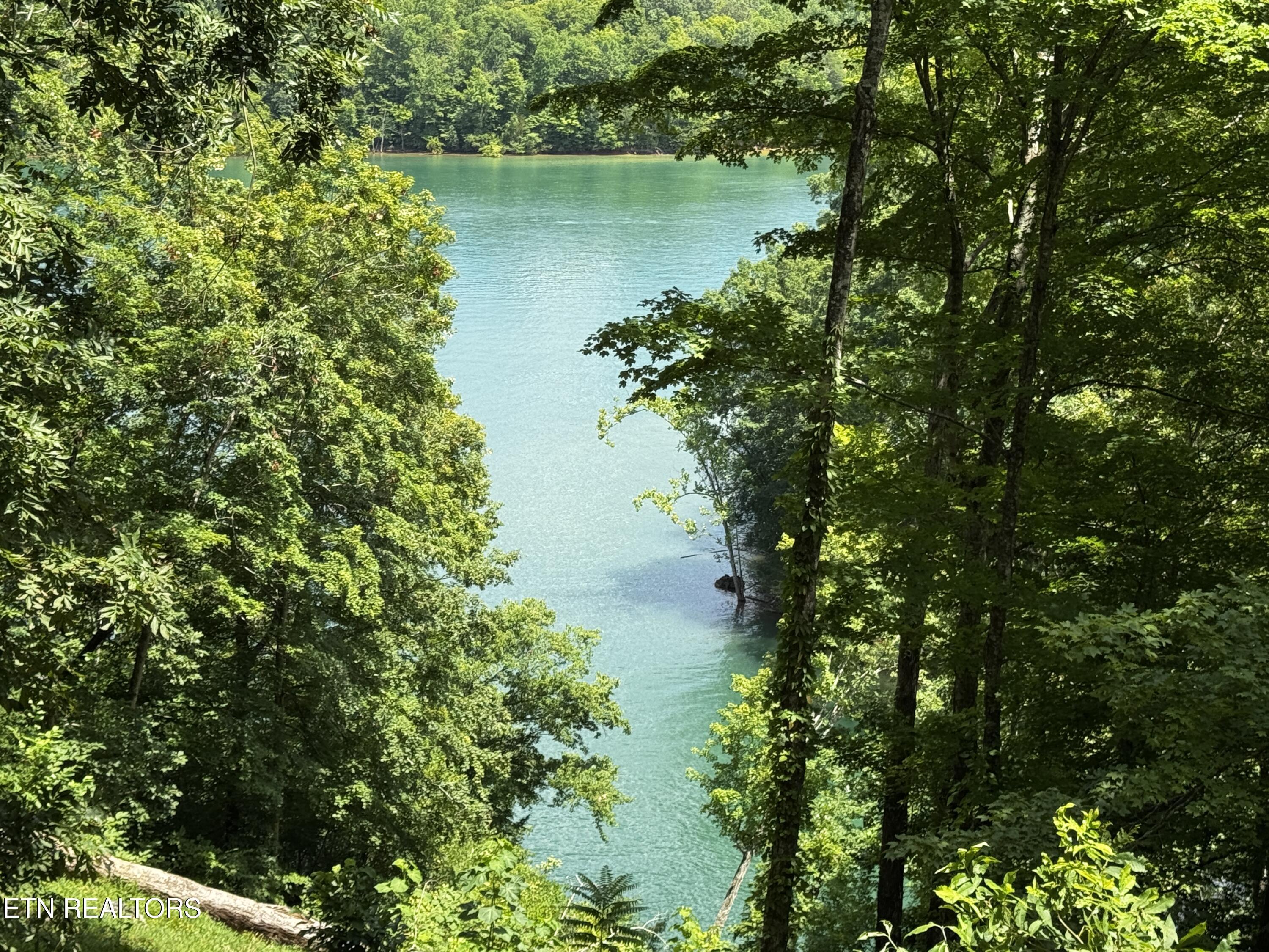 848 Cove Norris Rd, Caryville, TN - Norris Lake Real Estate - Image# 42