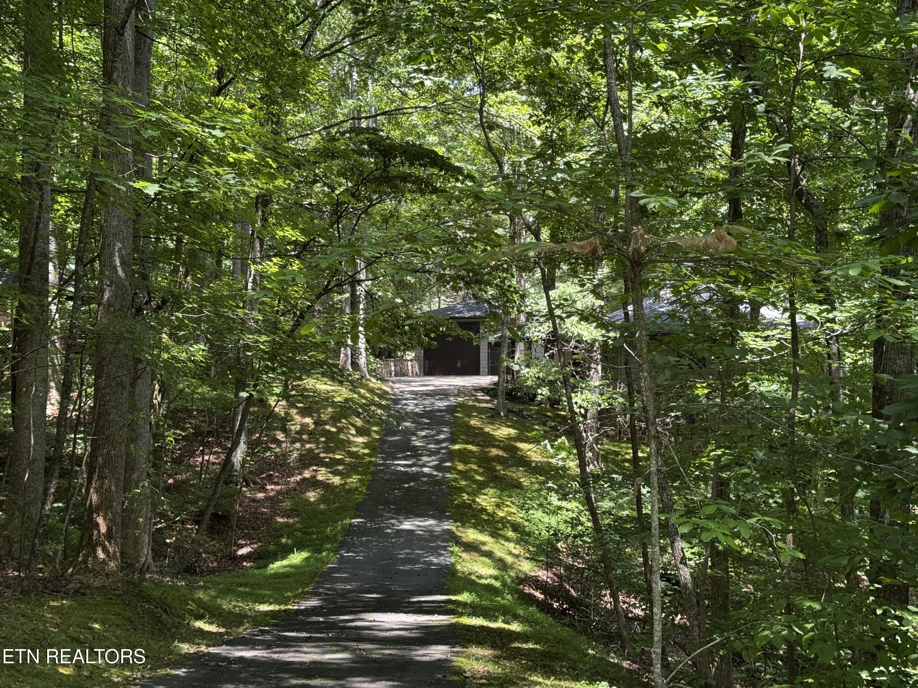 848 Cove Norris Rd, Caryville, TN - Norris Lake Real Estate - Image# 44