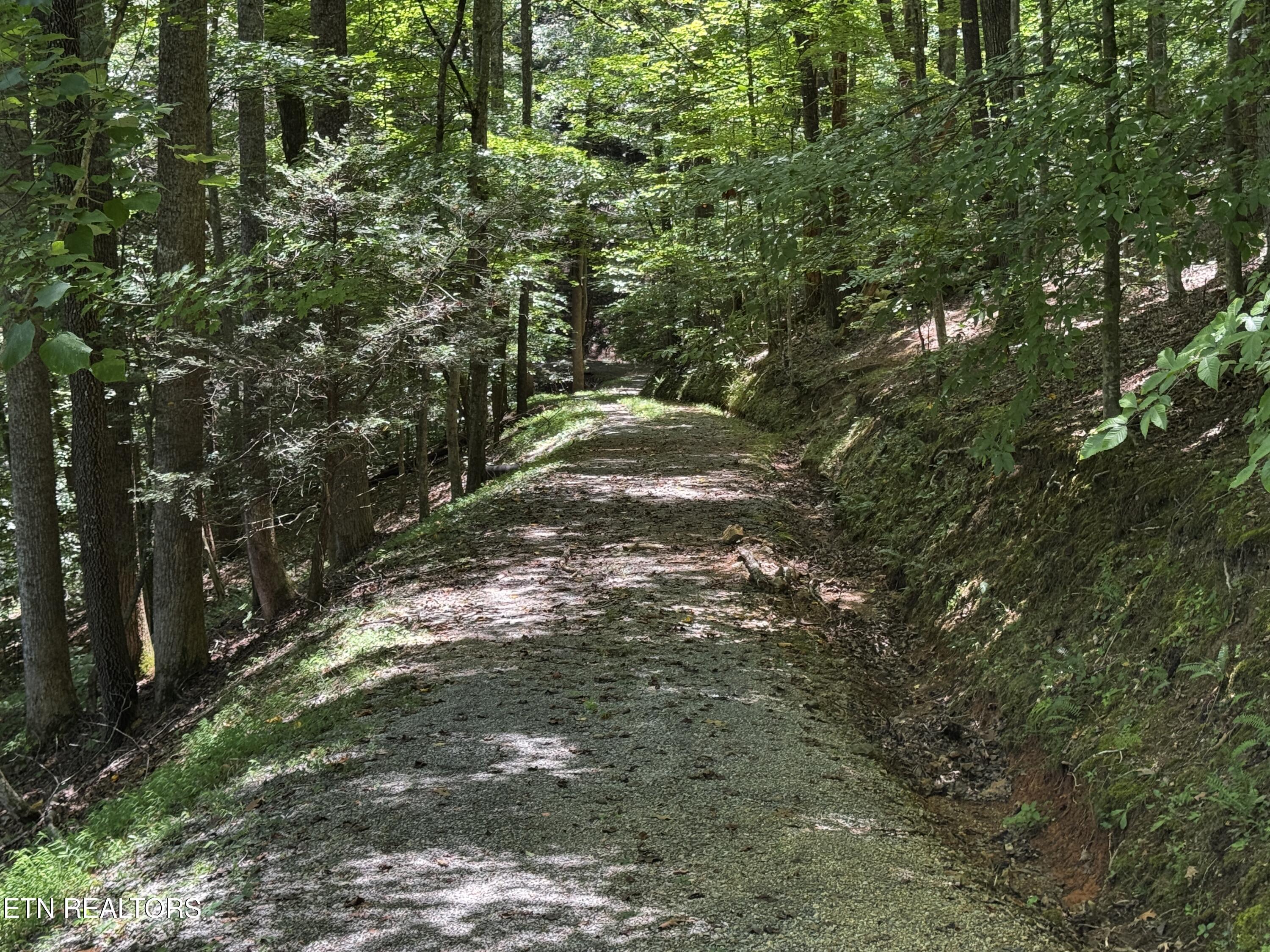 848 Cove Norris Rd, Caryville, TN - Norris Lake Real Estate - Image# 45