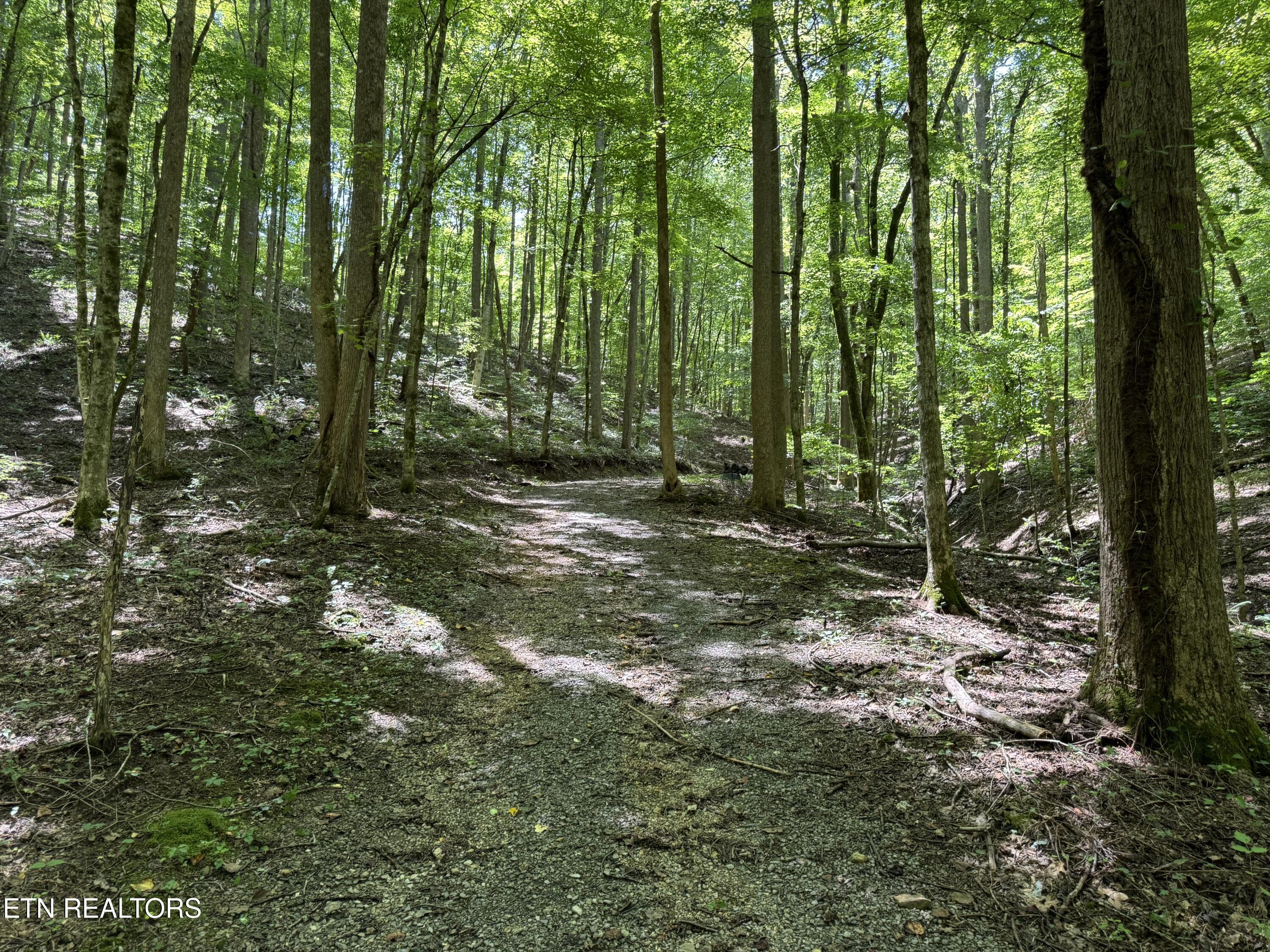 848 Cove Norris Rd, Caryville, TN - Norris Lake Real Estate - Image# 47
