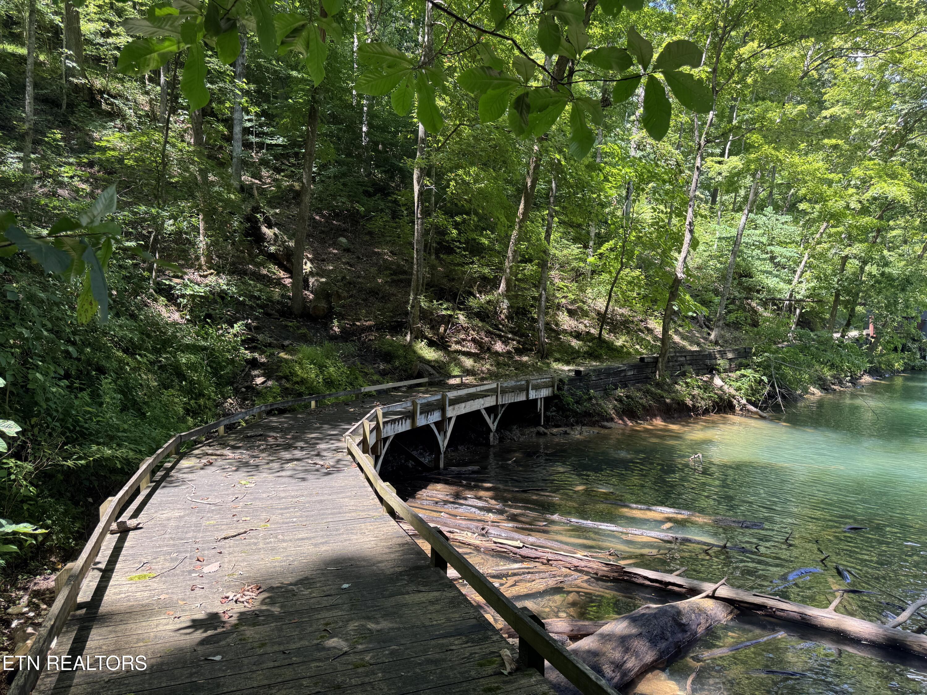 848 Cove Norris Rd, Caryville, TN - Norris Lake Real Estate - Image# 51