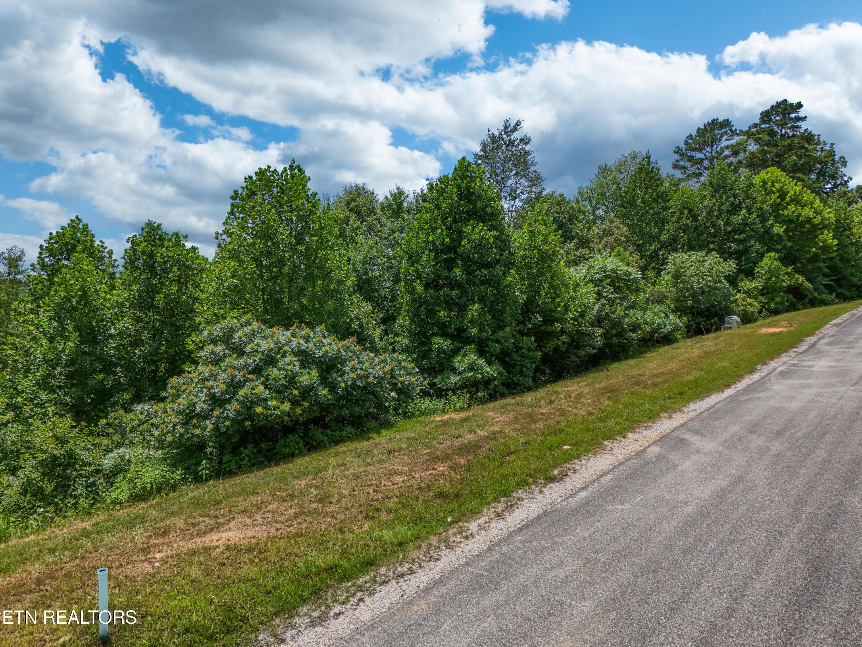512 Cedar Gate Lane, Lafollette, TN - Norris Lake Real Estate - Image# 3