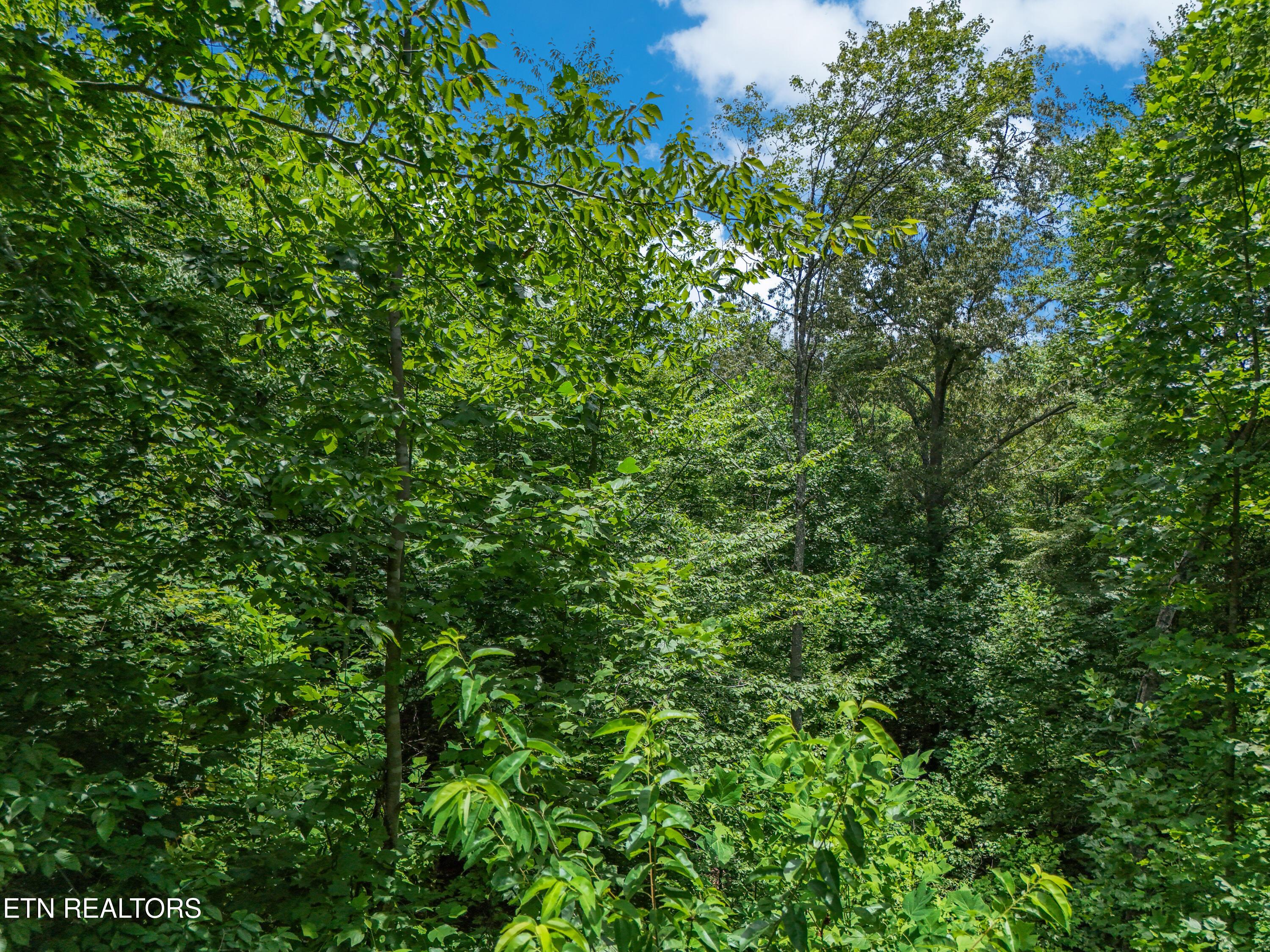 512 Cedar Gate Lane, Lafollette, TN - Norris Lake Real Estate - Image# 6