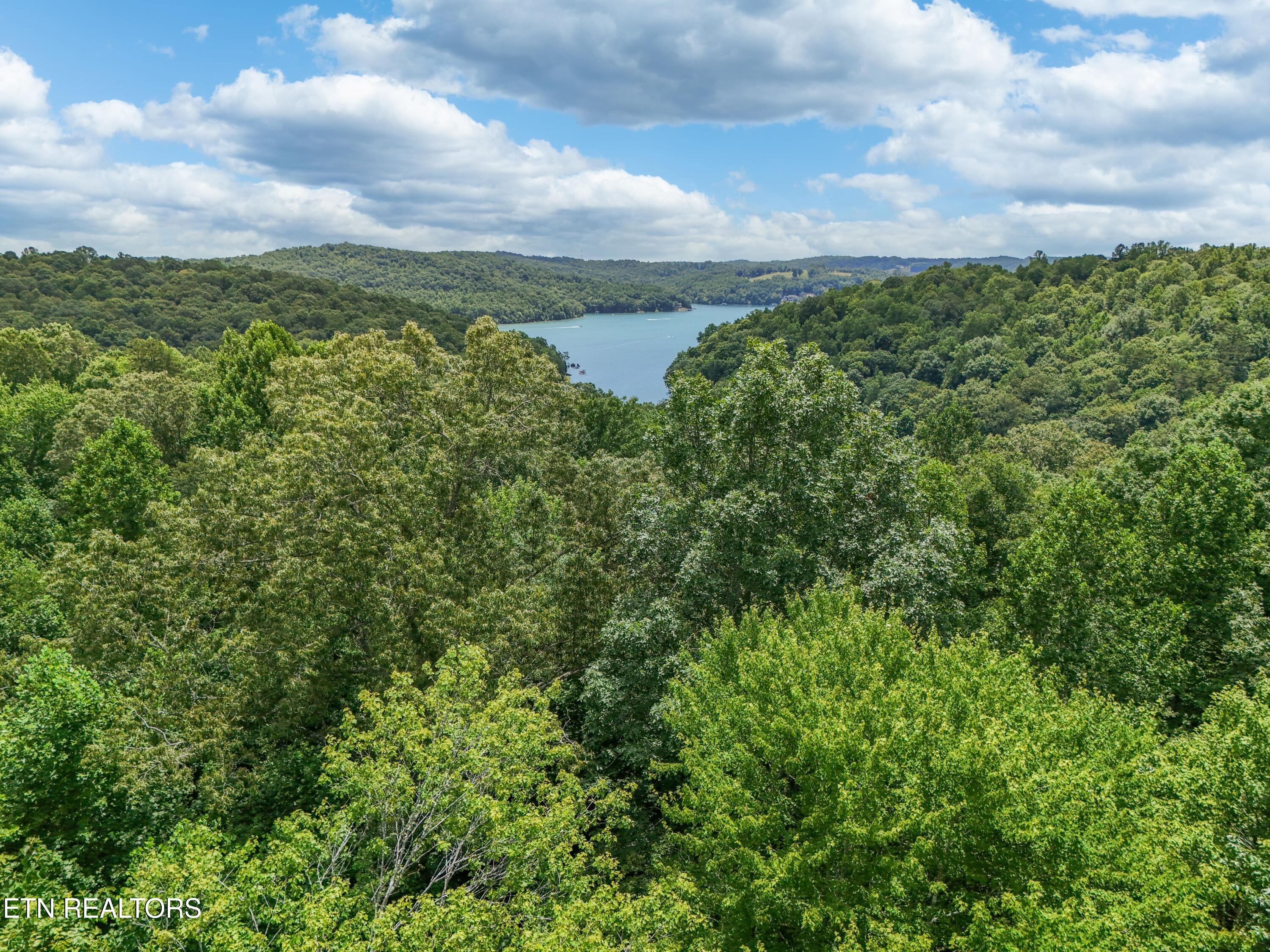 512 Cedar Gate Lane, Lafollette, TN - Norris Lake Real Estate - Image# 8