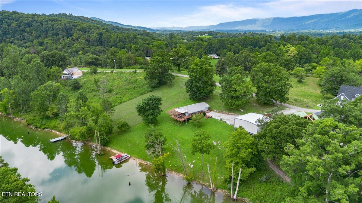 Norris Lake Real Estate - Image# 5