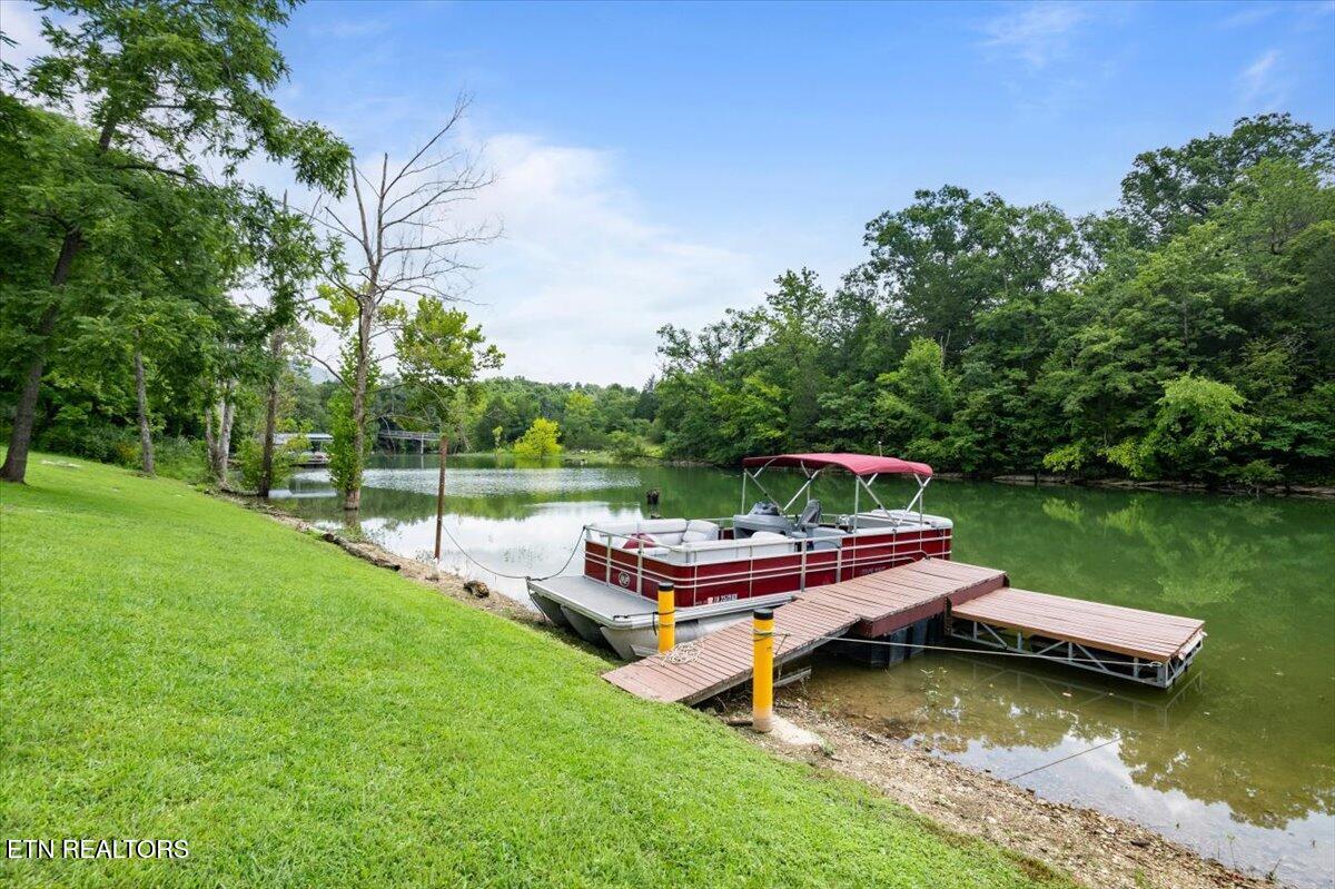 Norris Lake Real Estate - Image# 3