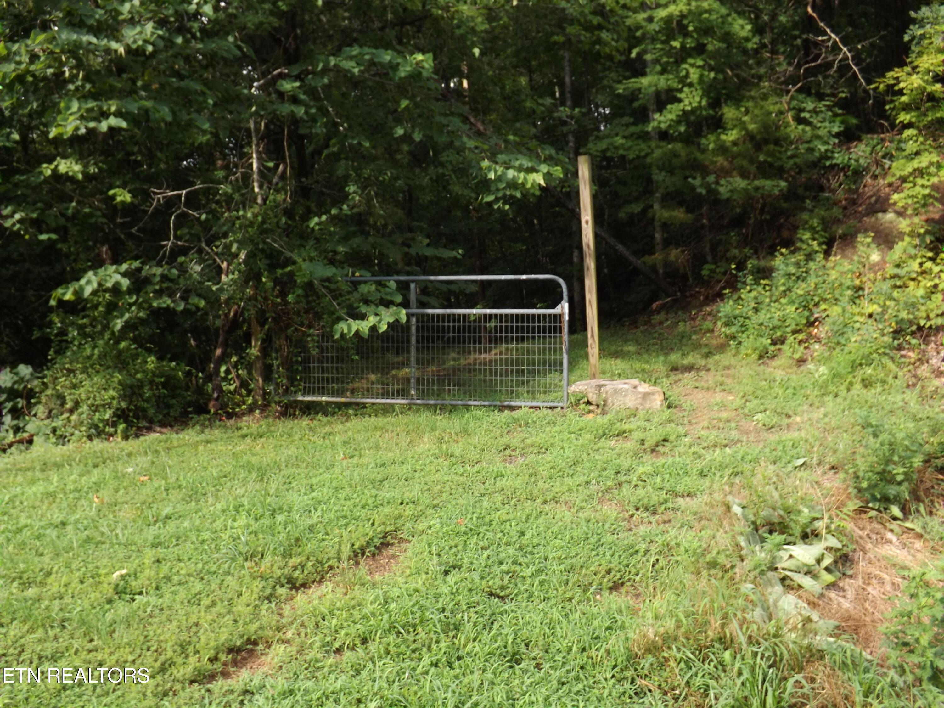 Norris Lake Real Estate - Image# 42