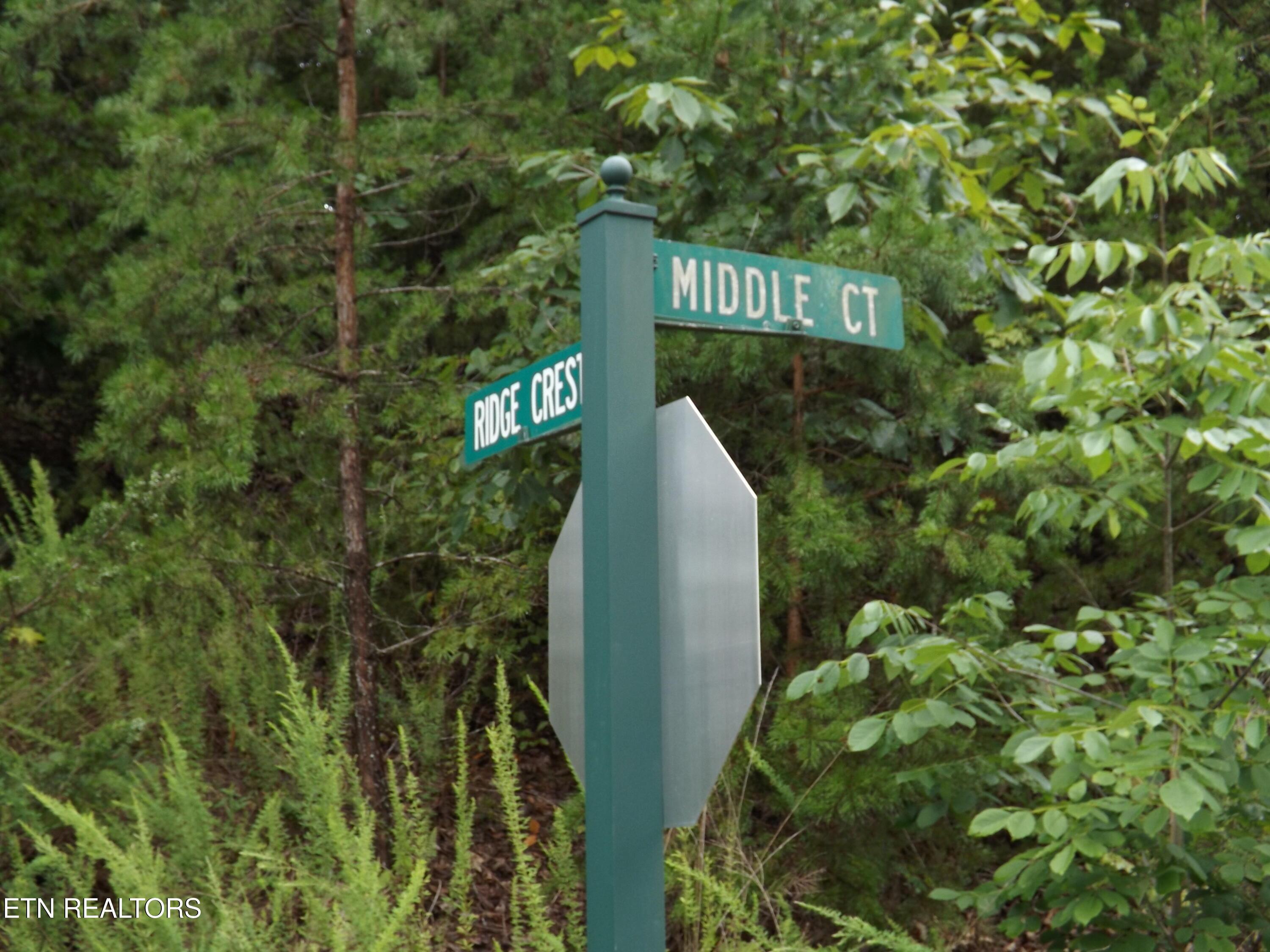 Norris Lake Real Estate - Image# 44