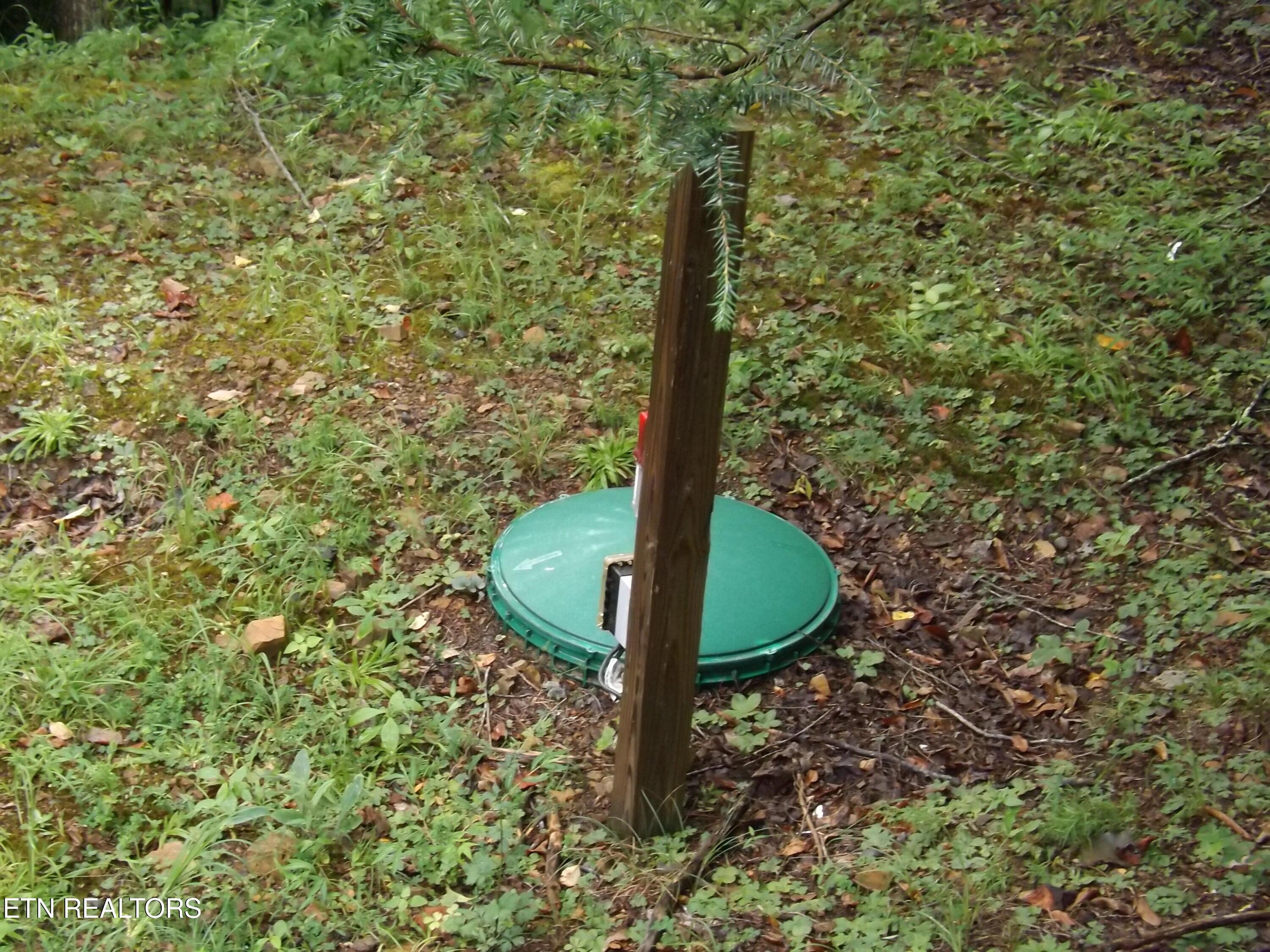 Norris Lake Real Estate - Image# 50