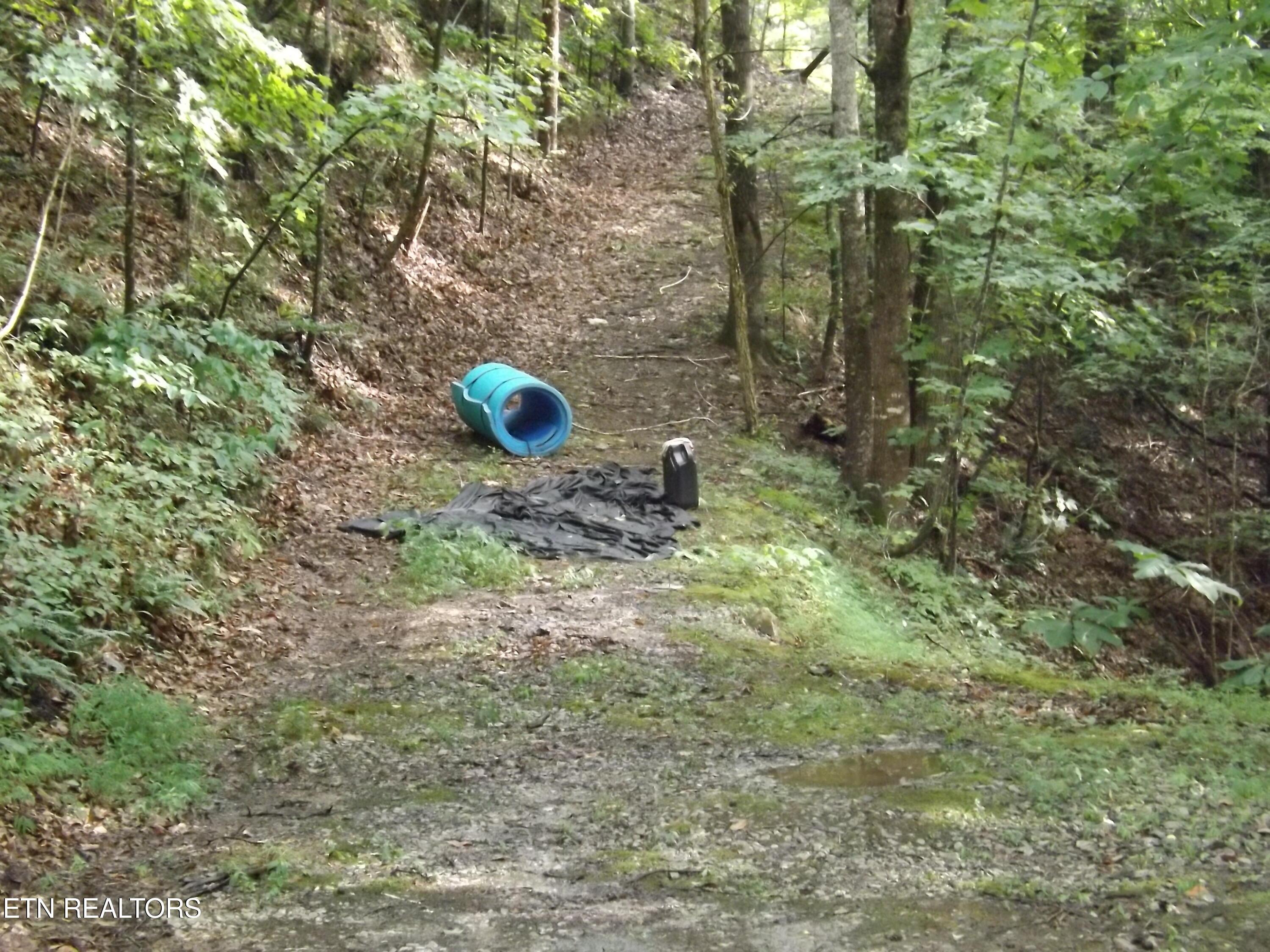 Norris Lake Real Estate - Image# 52