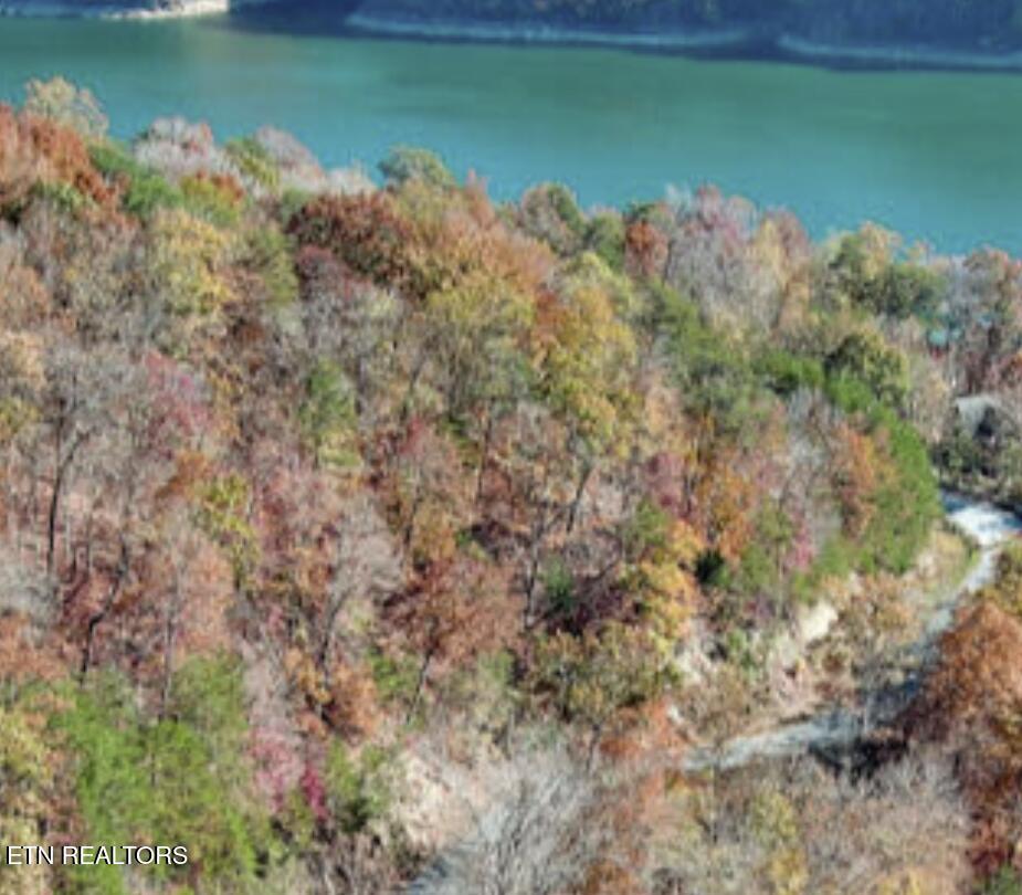 Ridgeview Circle, Sharps Chapel, TN - Norris Lake Real Estate - Image# 10