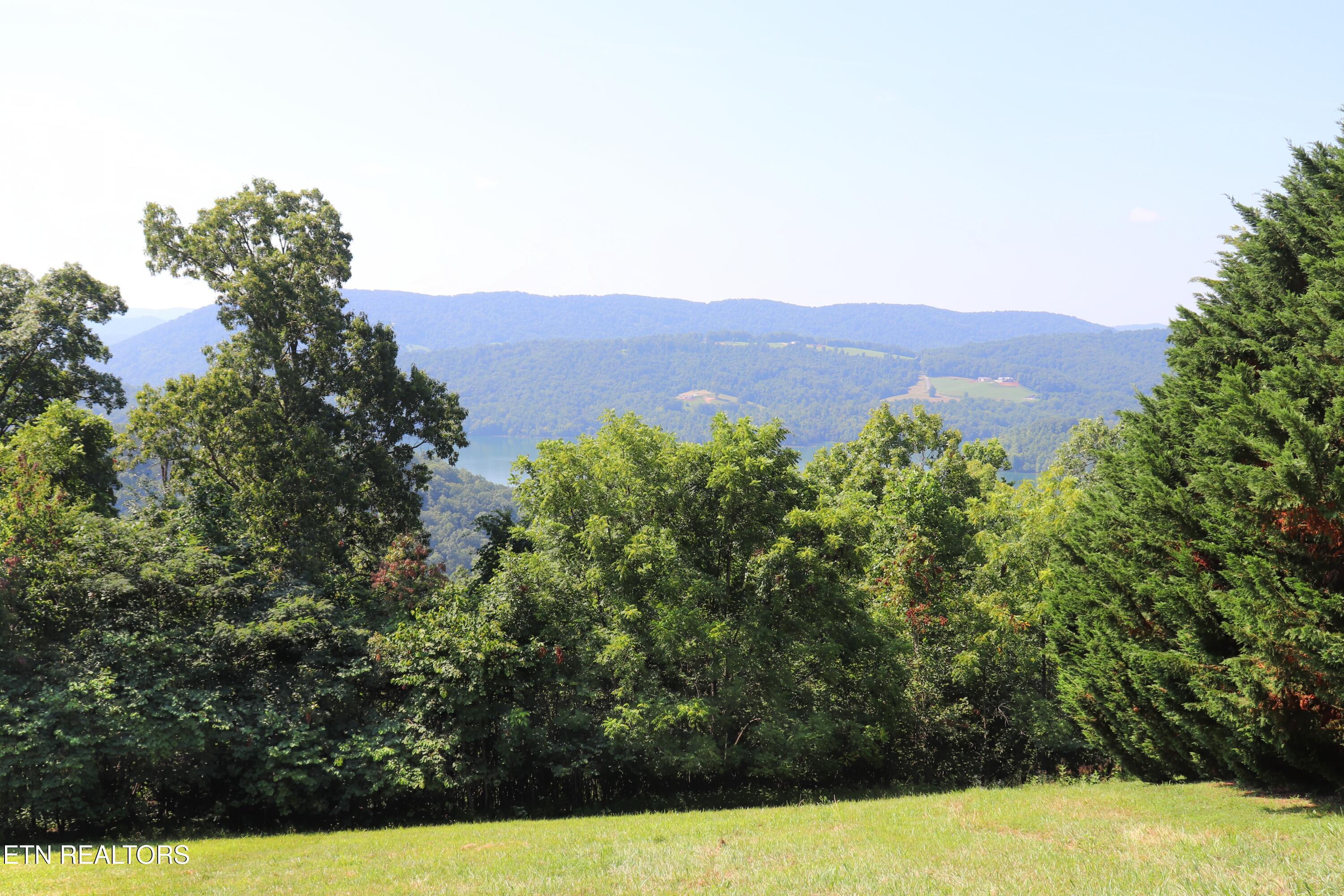 lot 168 Feldspar Rd, New Tazewell, TN - Norris Lake Real Estate - Image# 3