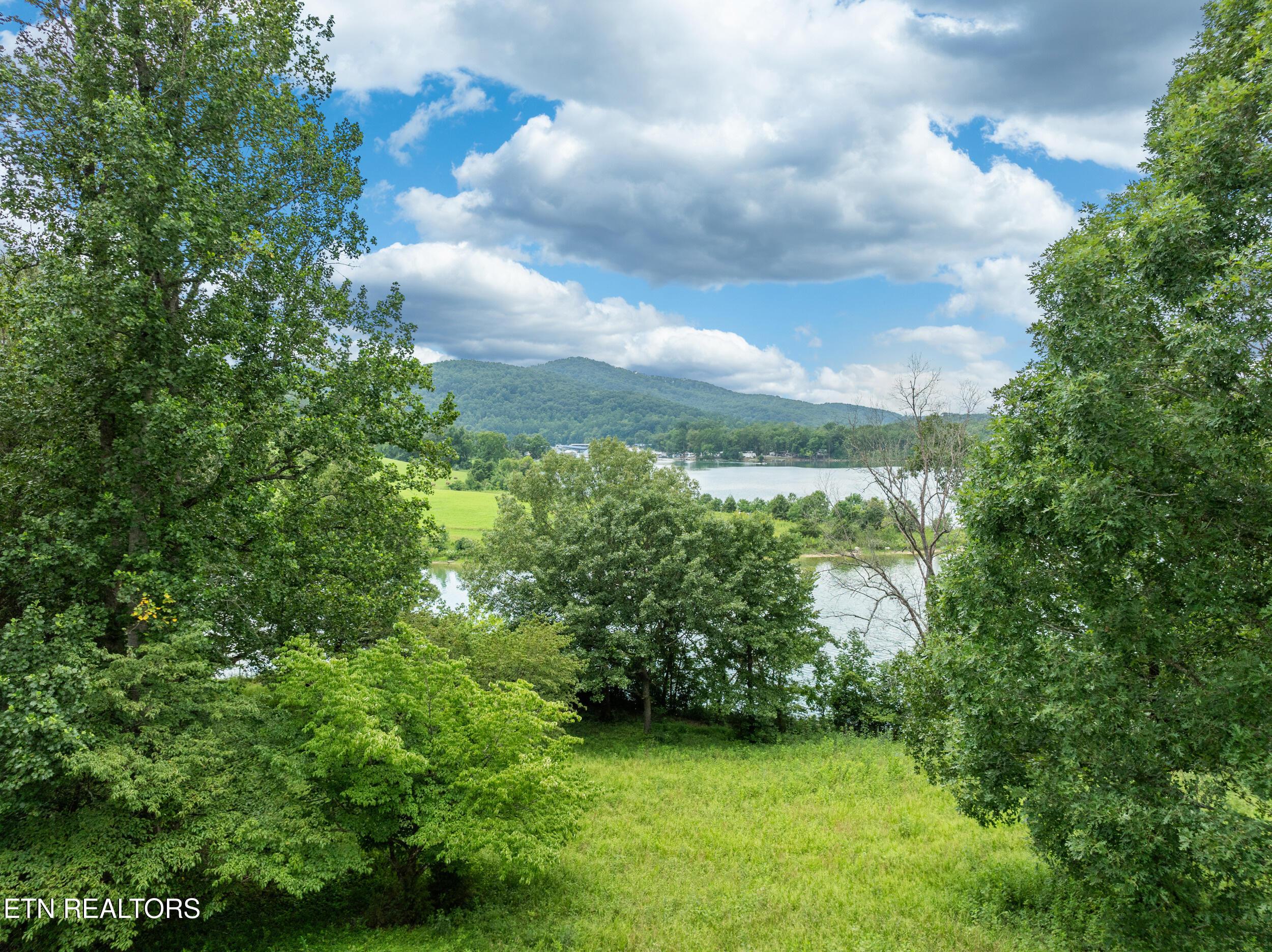Norris Lake Real Estate - Image# 53