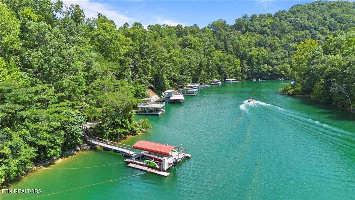 Norris Lake Real Estate - Image# 20