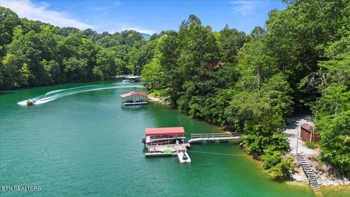 Norris Lake Real Estate - Image# 21
