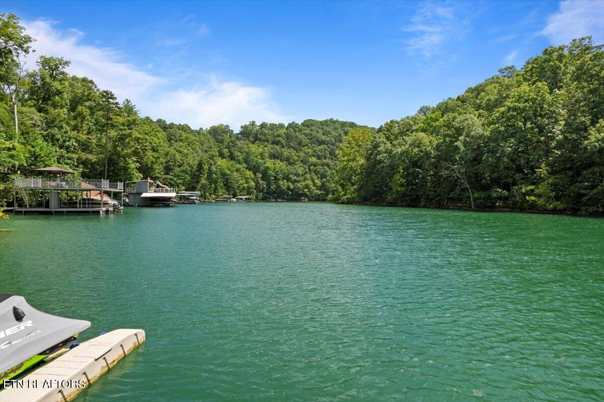 Norris Lake Real Estate - Image# 26
