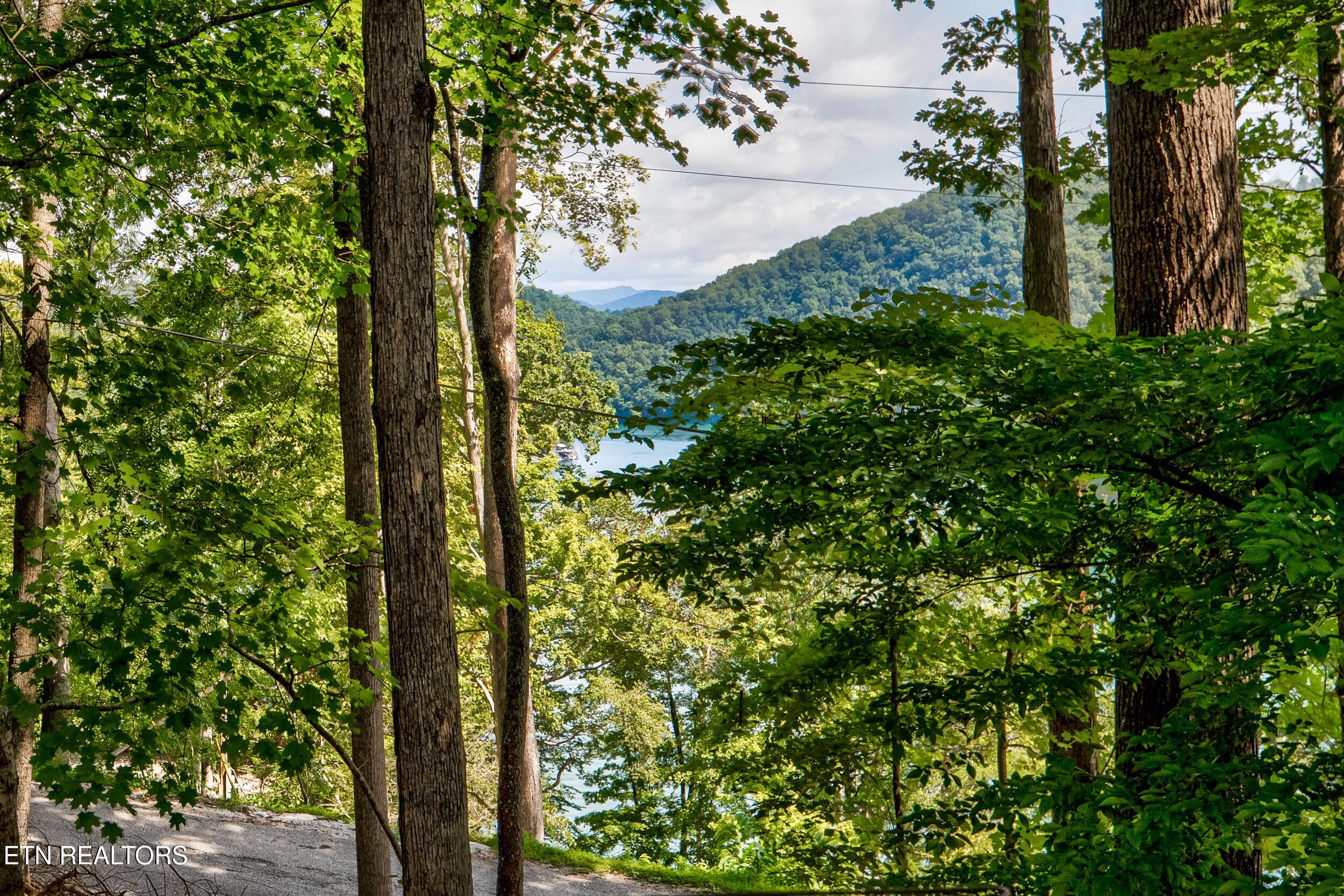 Norris Lake Real Estate - Image# 16