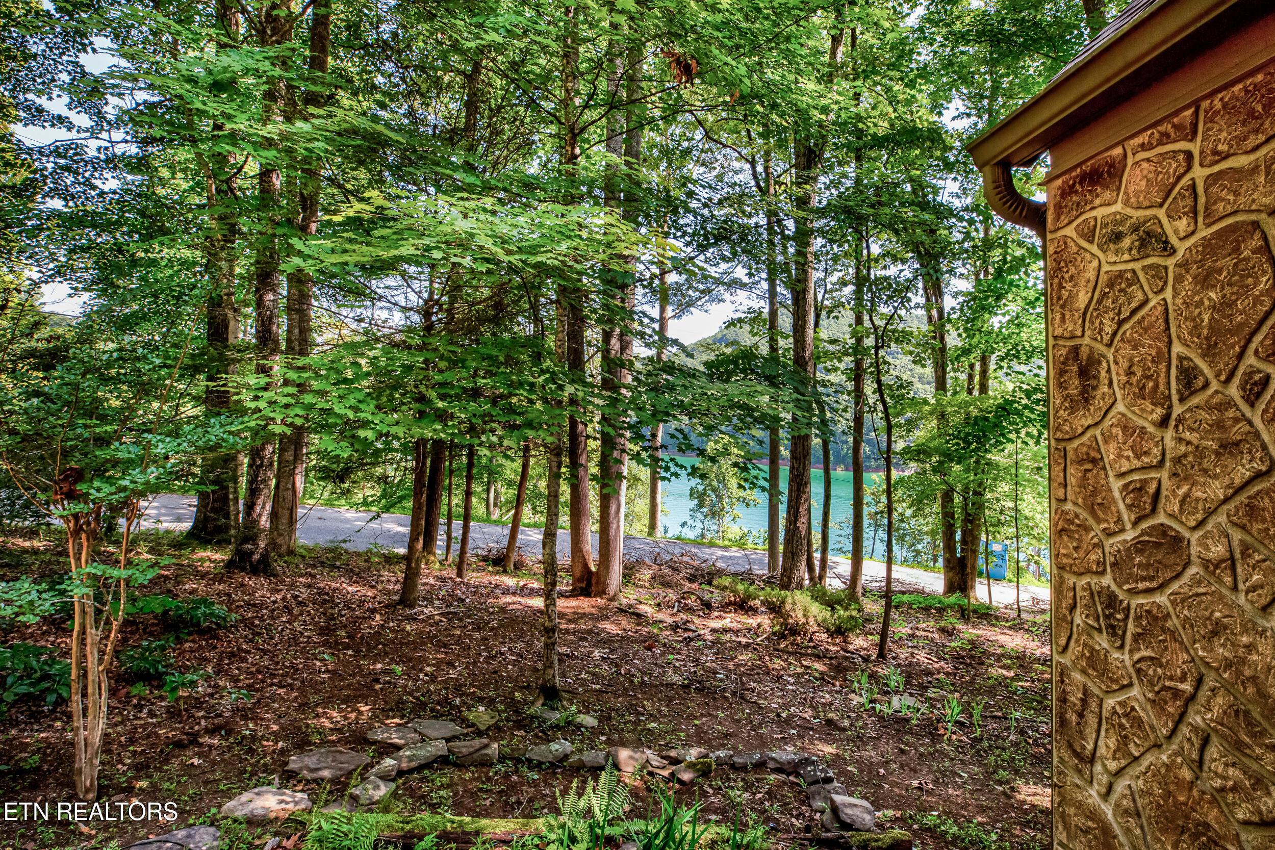 Norris Lake Real Estate - Image# 4
