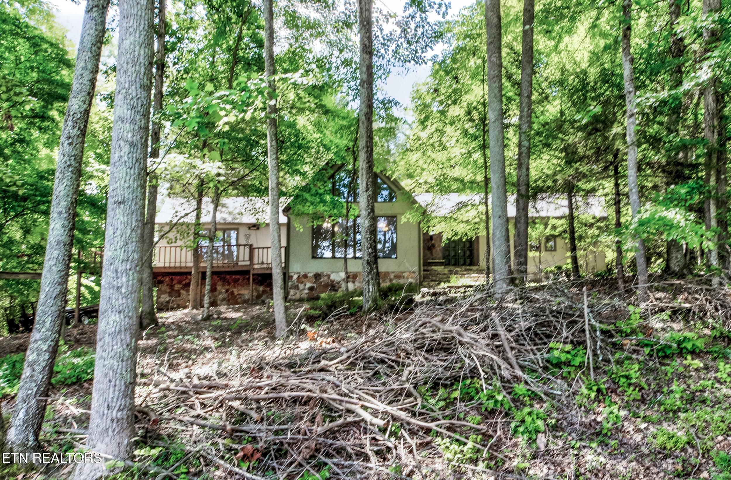 Norris Lake Real Estate - Image# 2