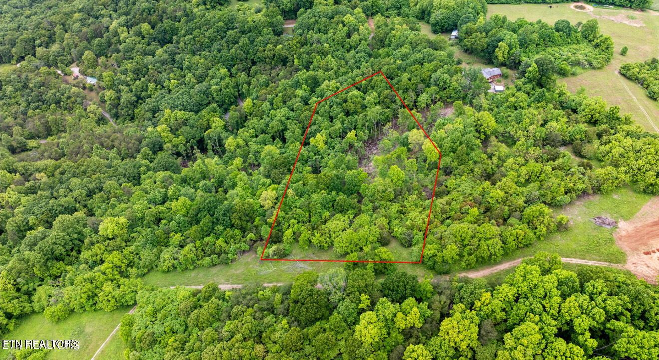 Graves Hollow lot 2 Rd, Maynardville, TN - Norris Lake Real Estate - Image# 6